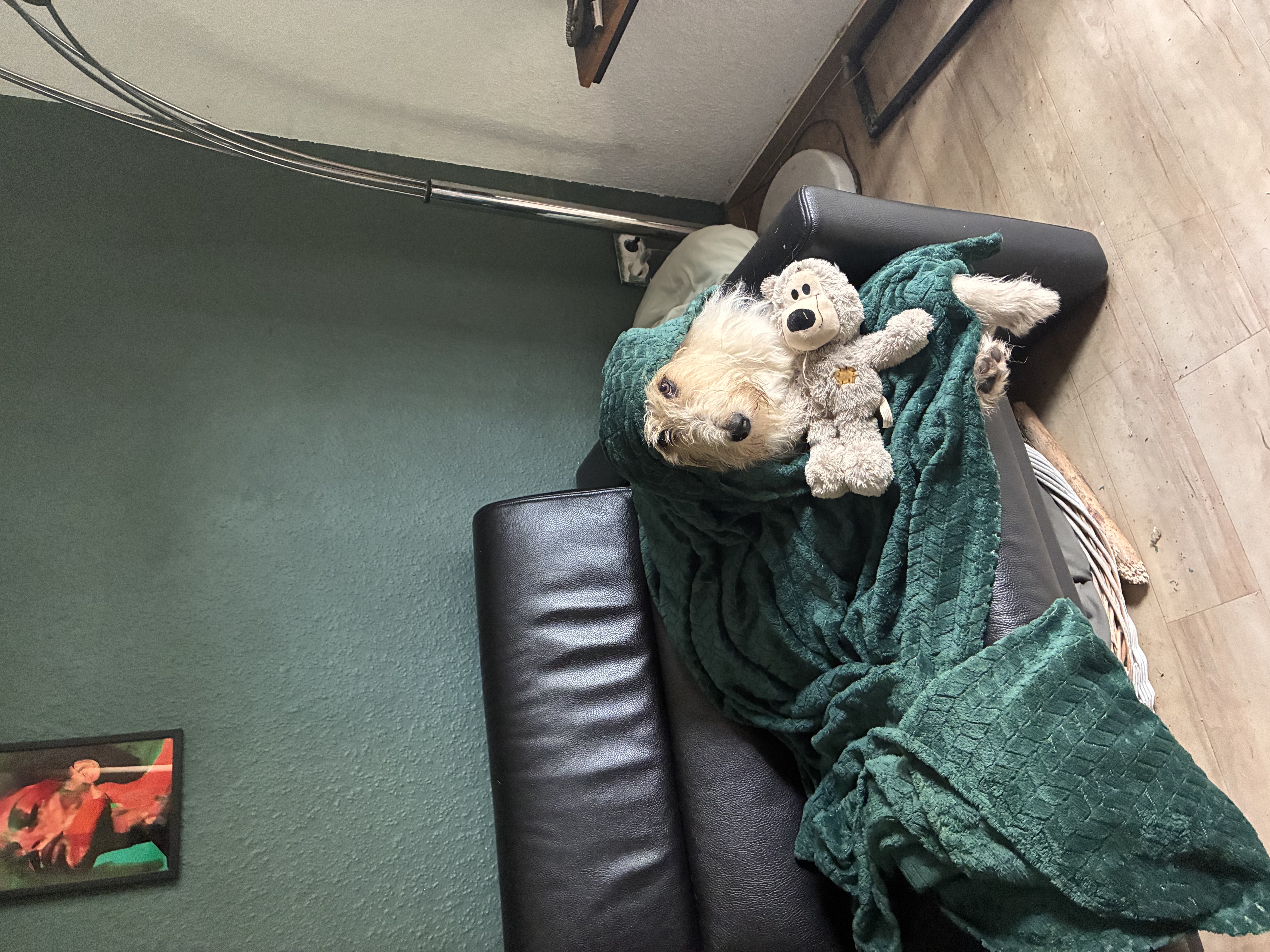 image-14