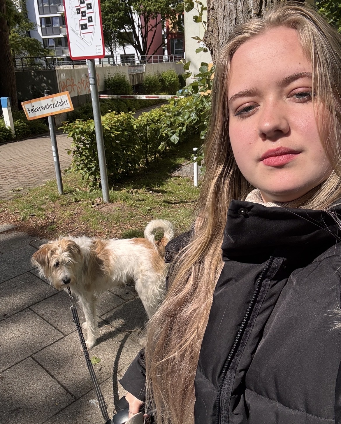 image-8