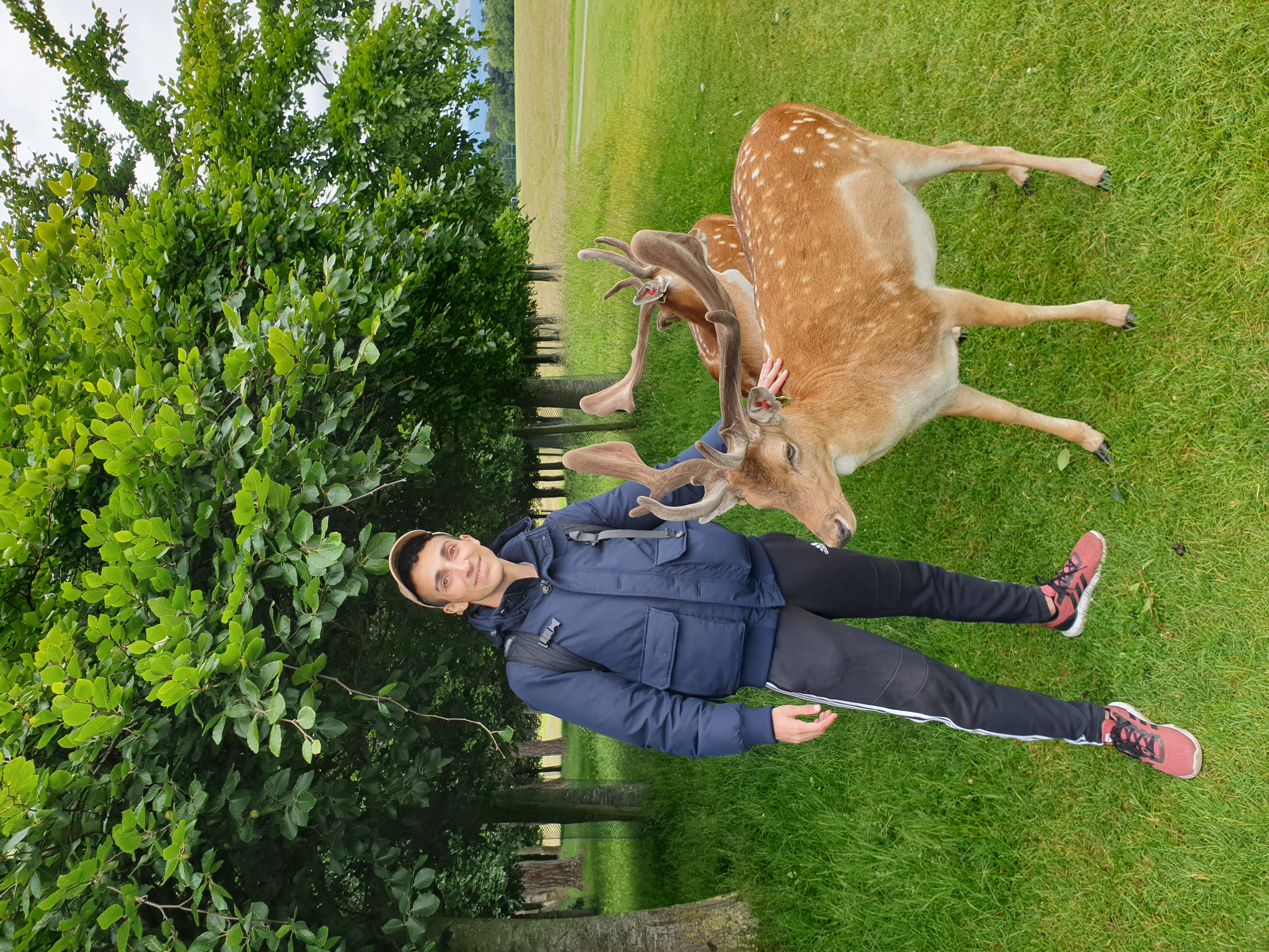 image-8