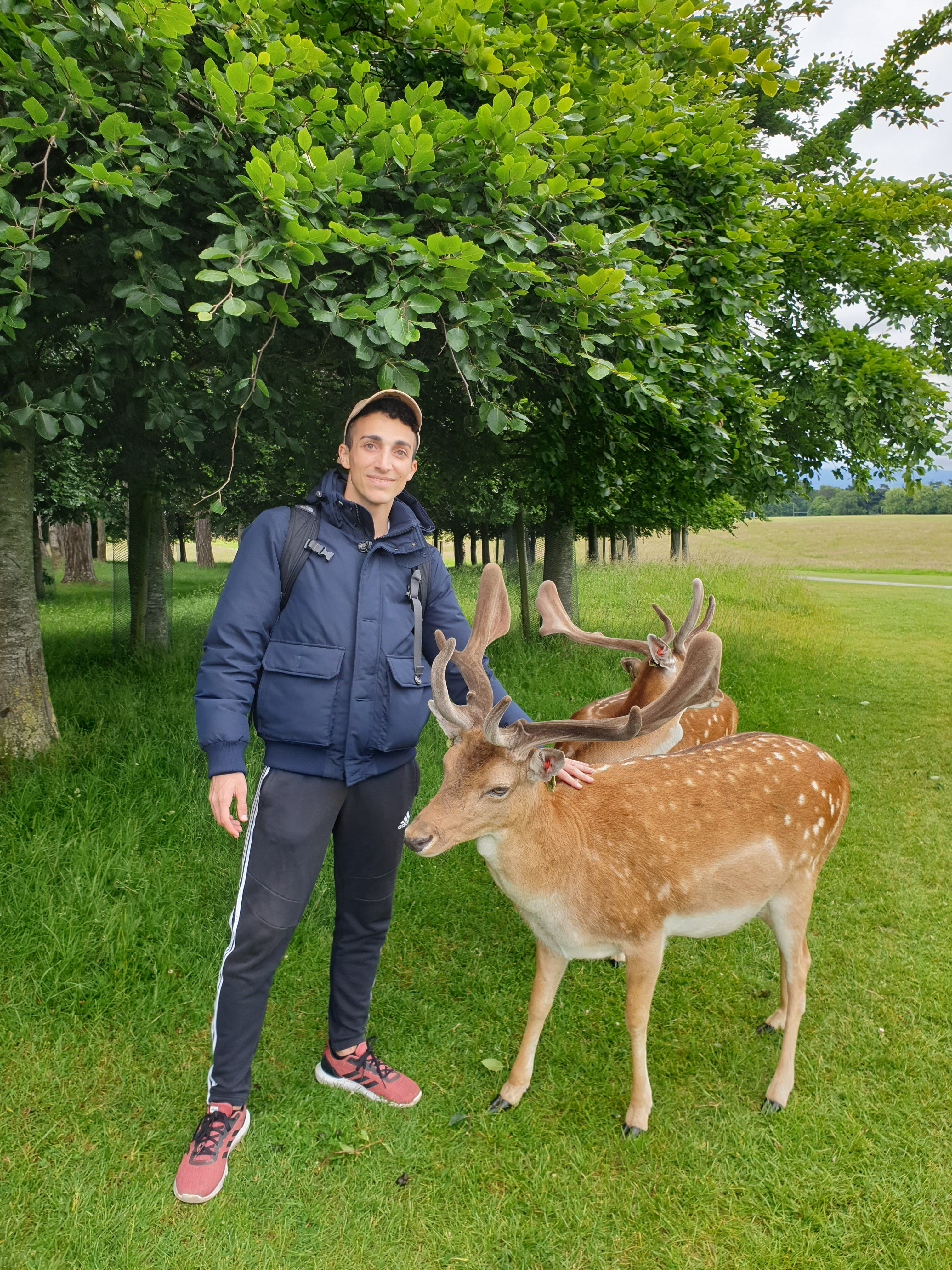 image-8