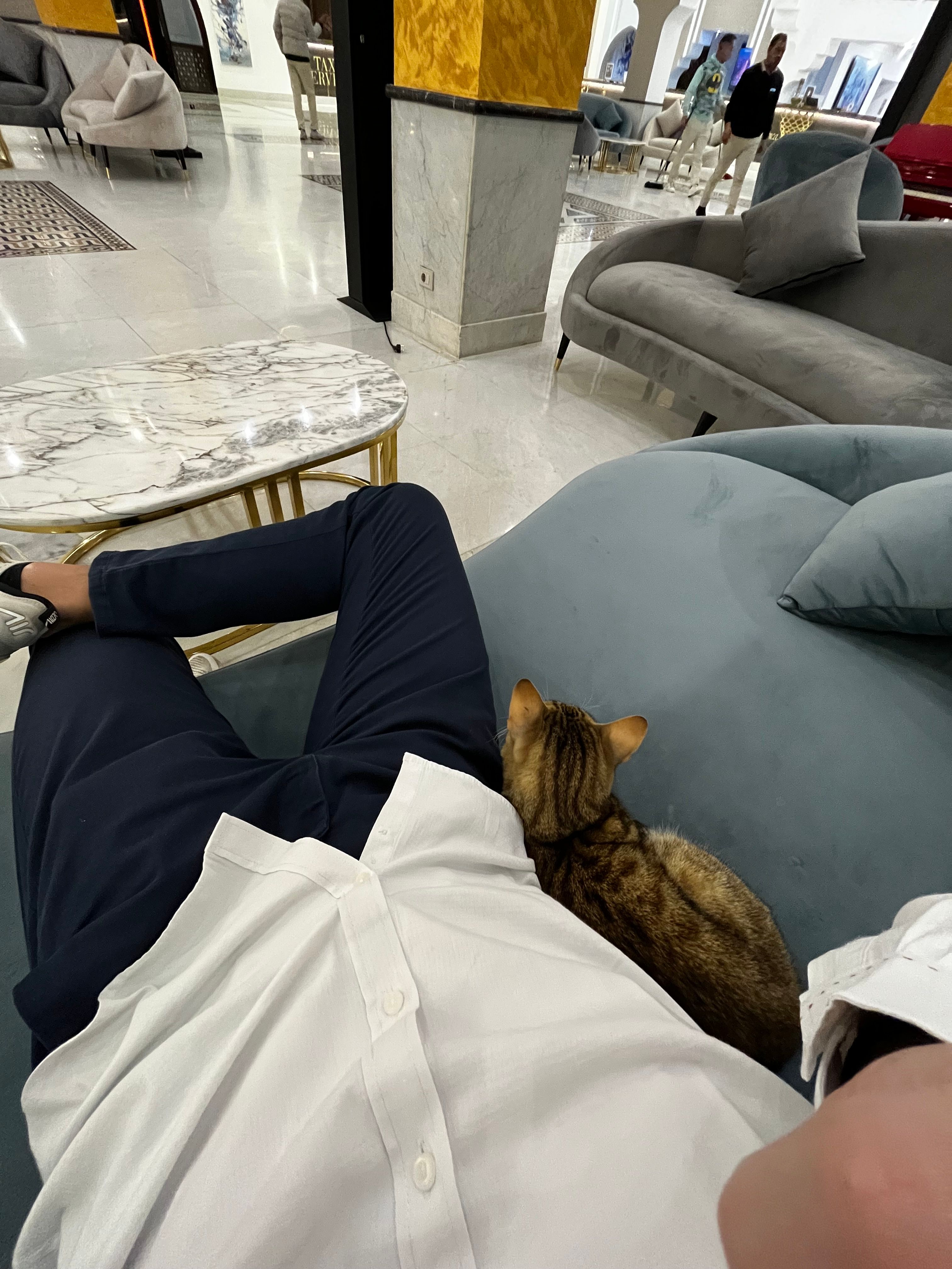 image-6