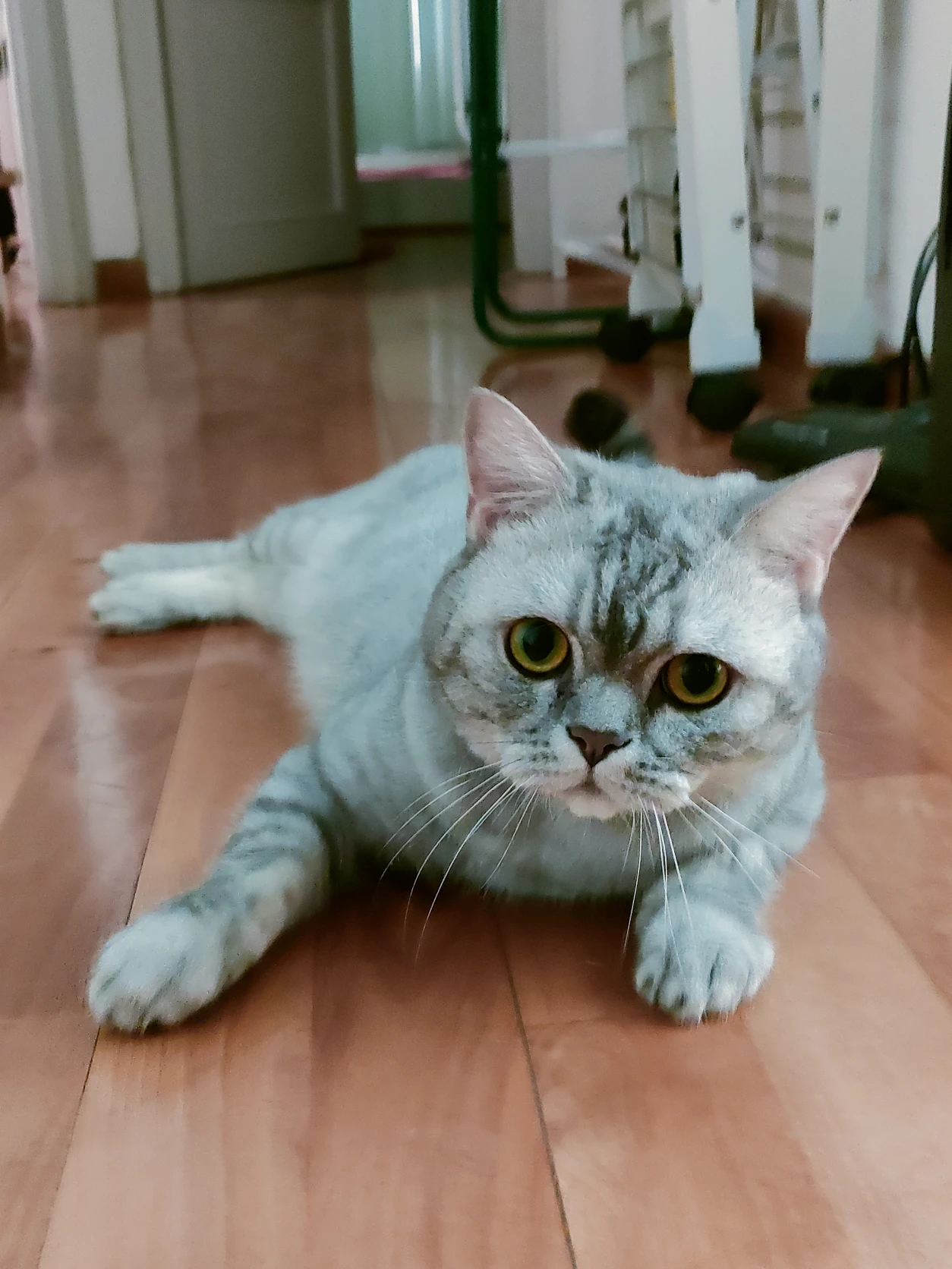 image-11
