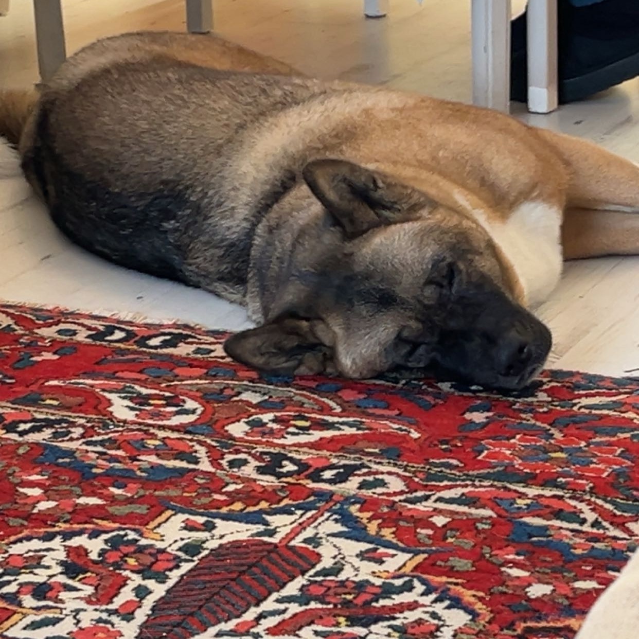 Nyla