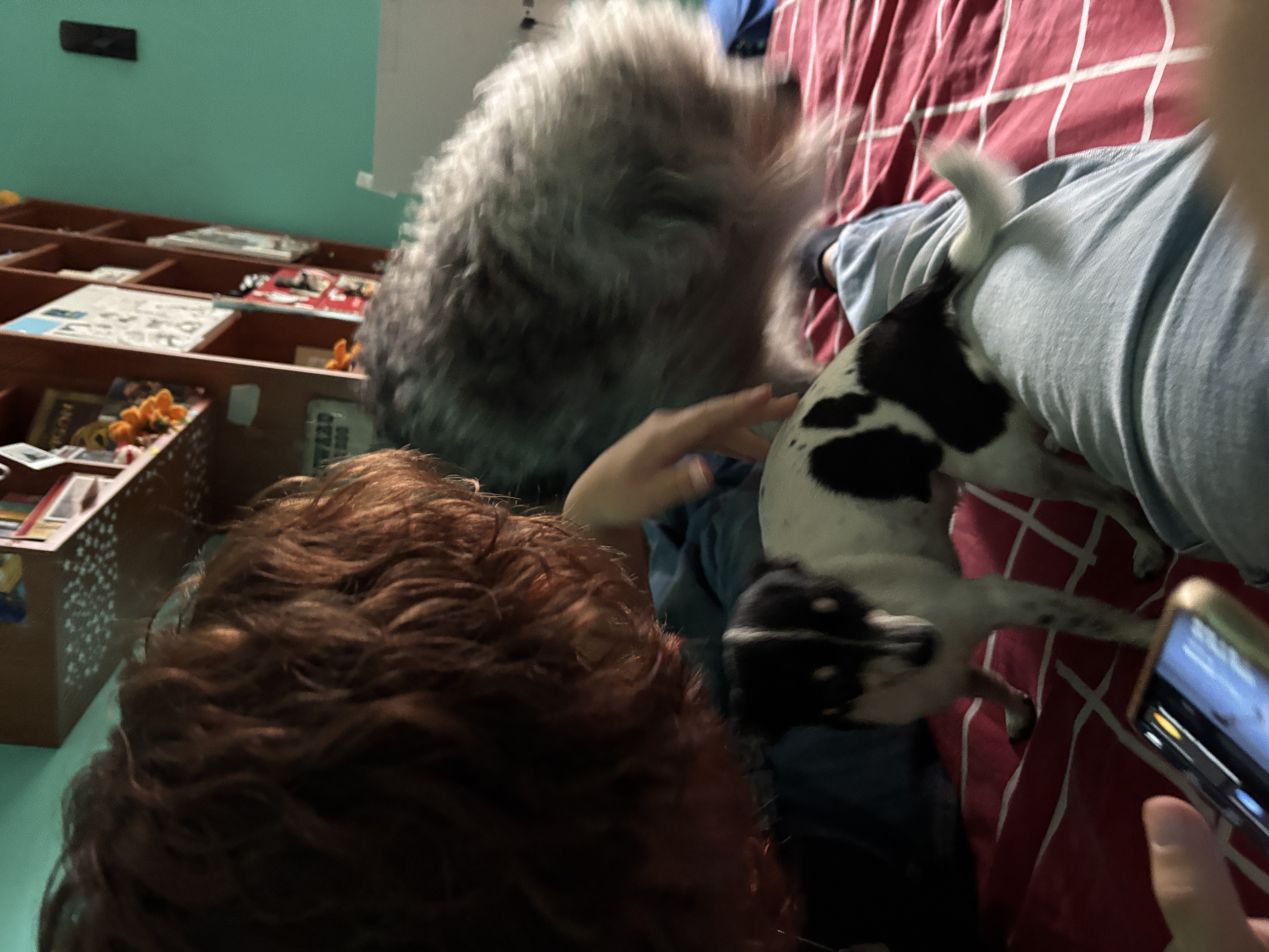 image-5