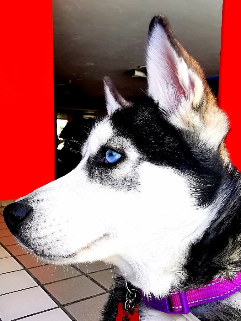 image-9
