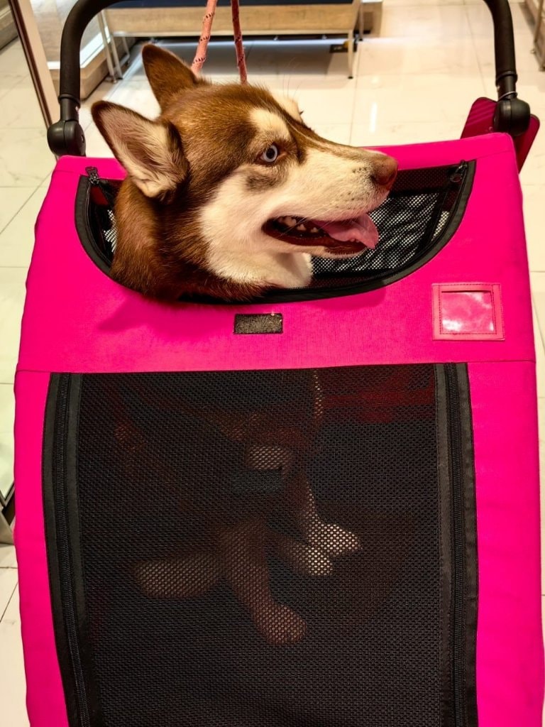 image-18