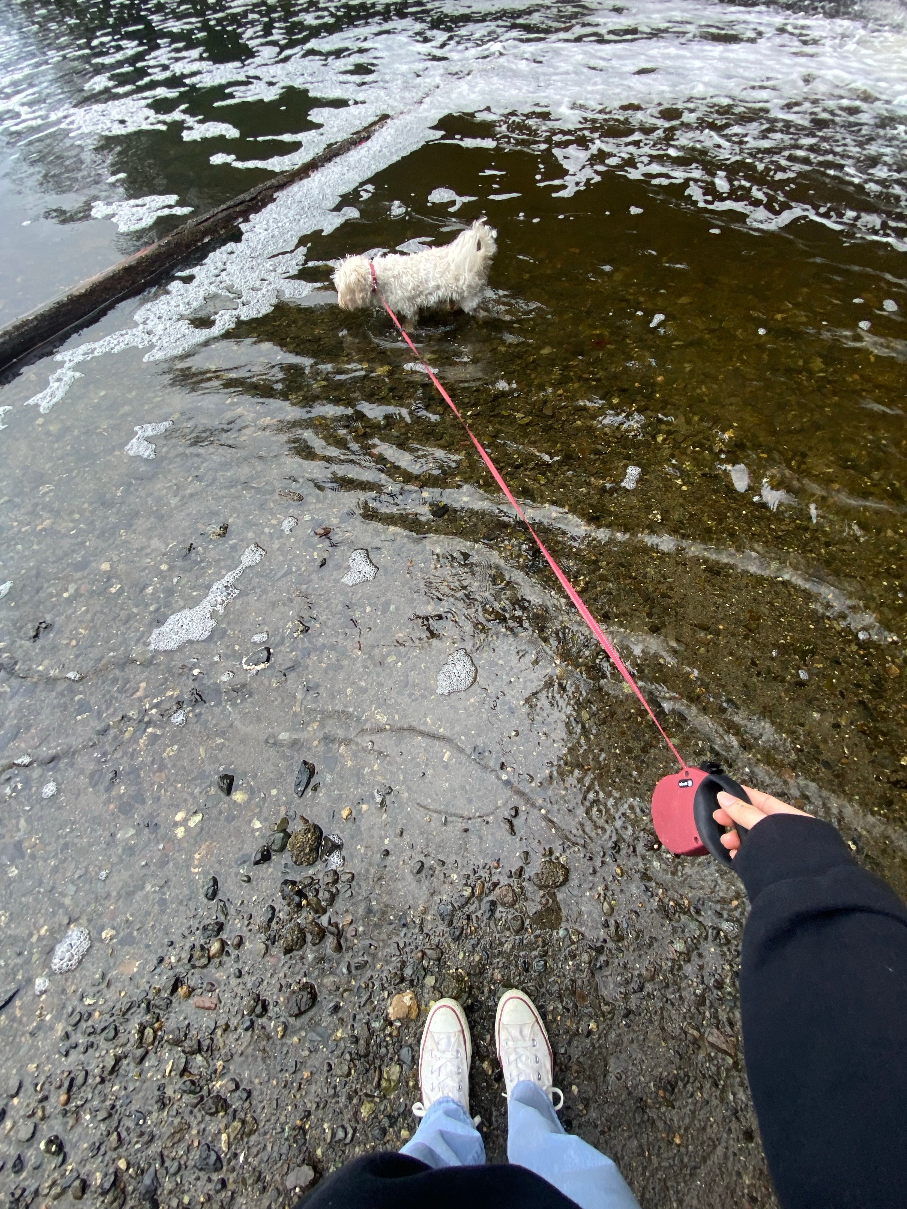 image-7