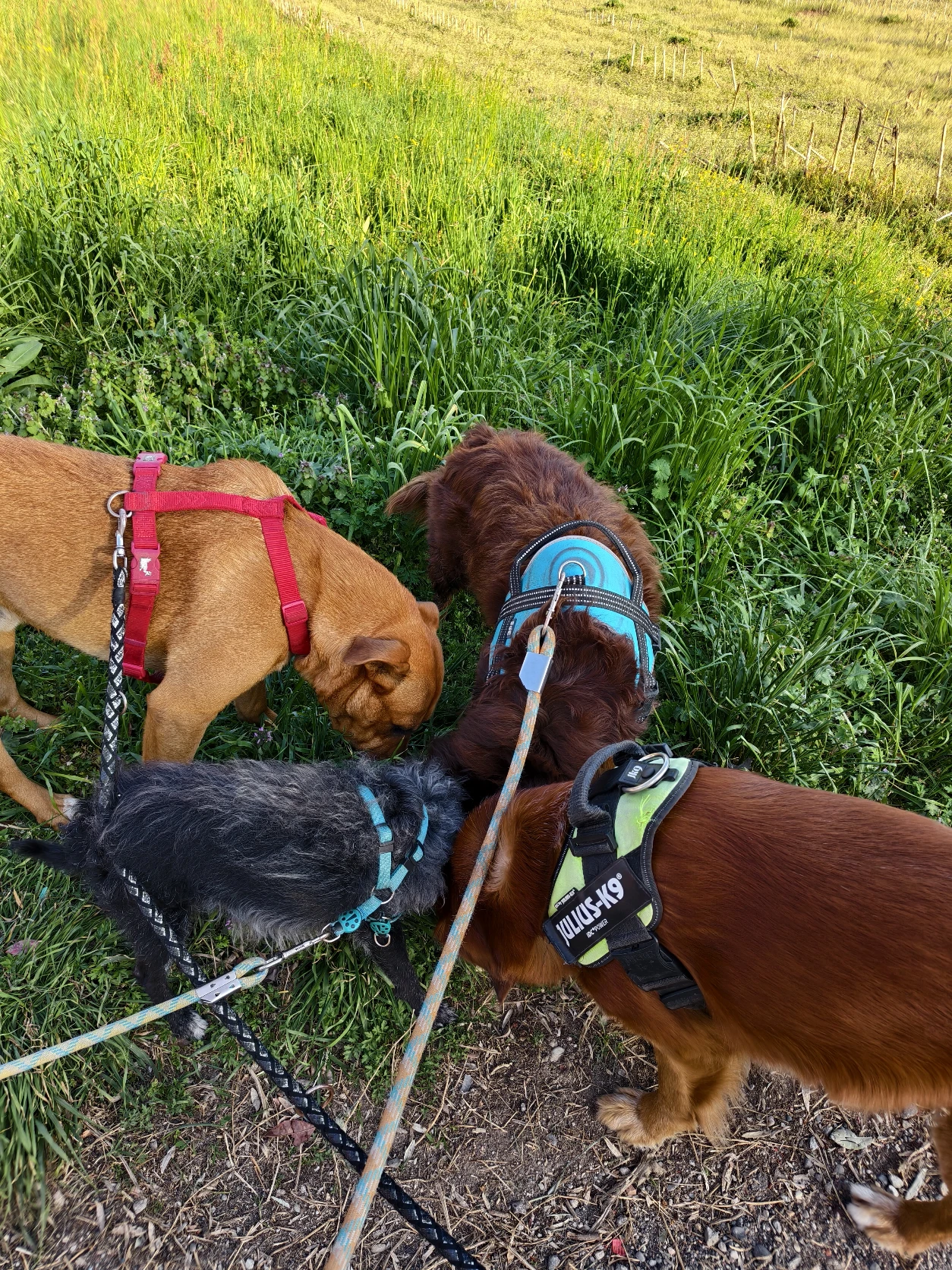 image-18
