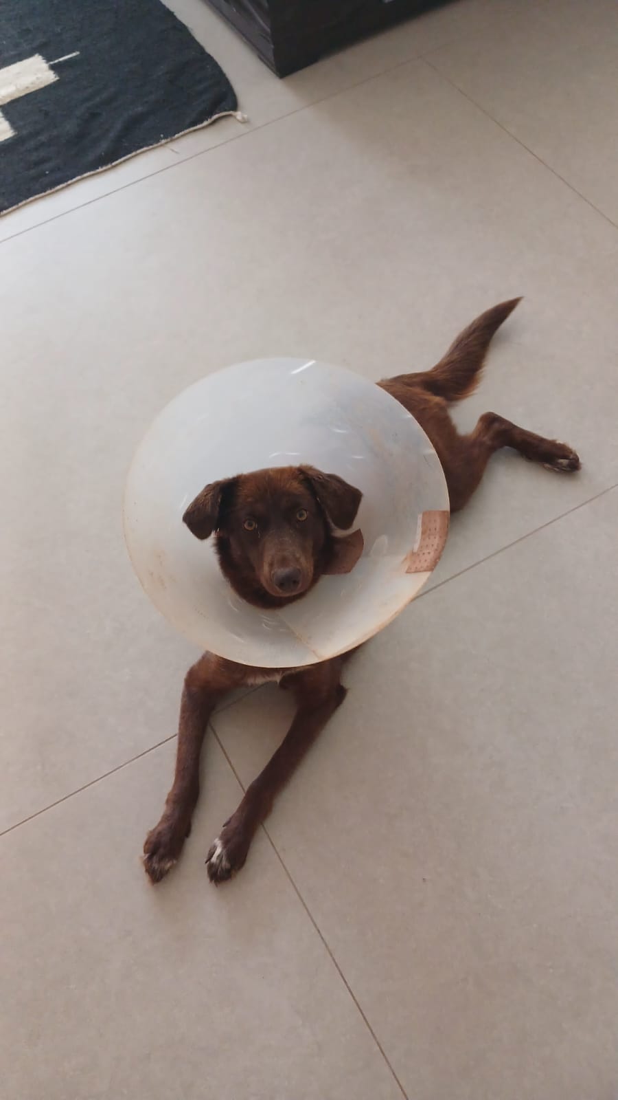 image-6