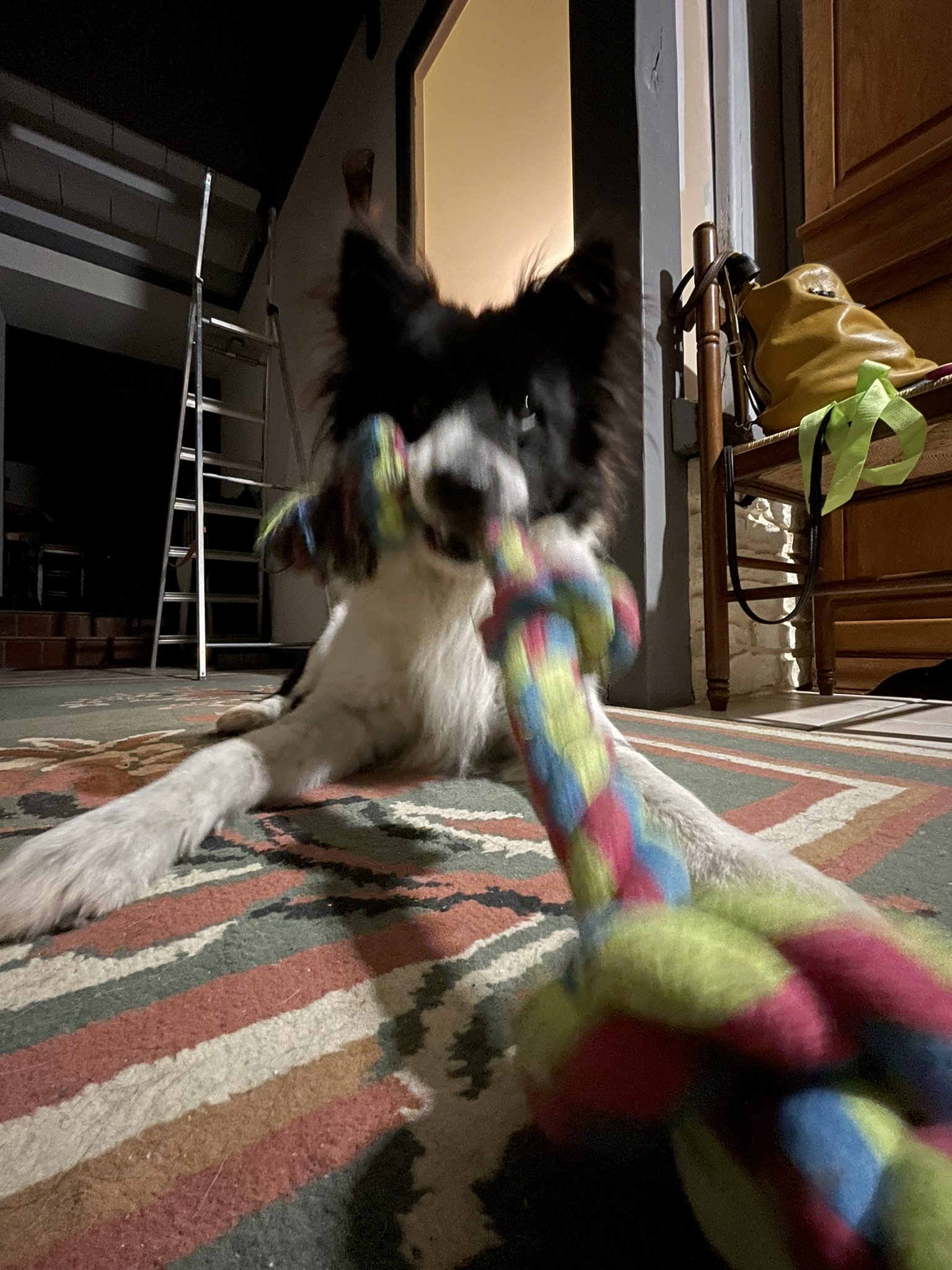 image-7