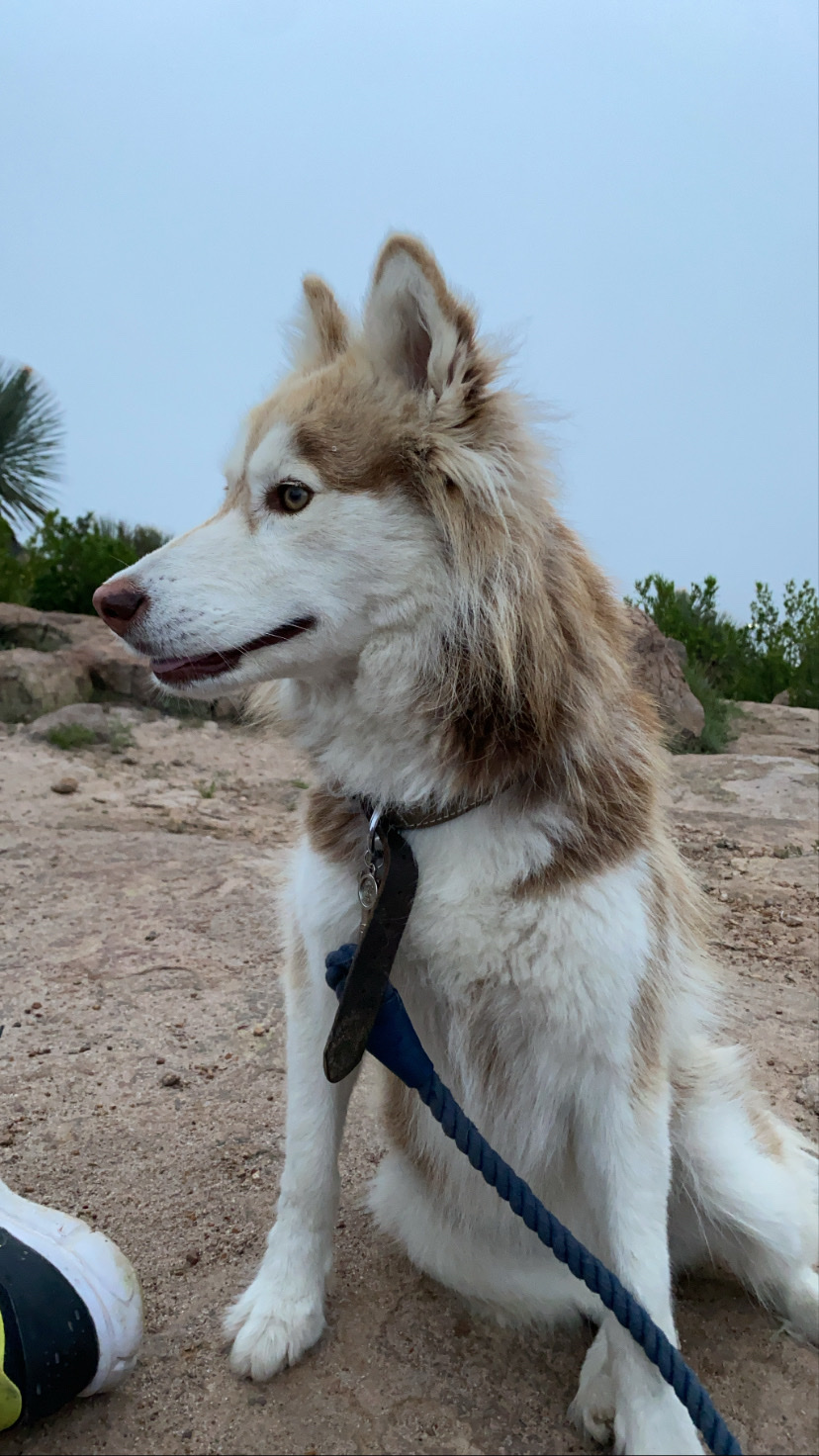 image-9