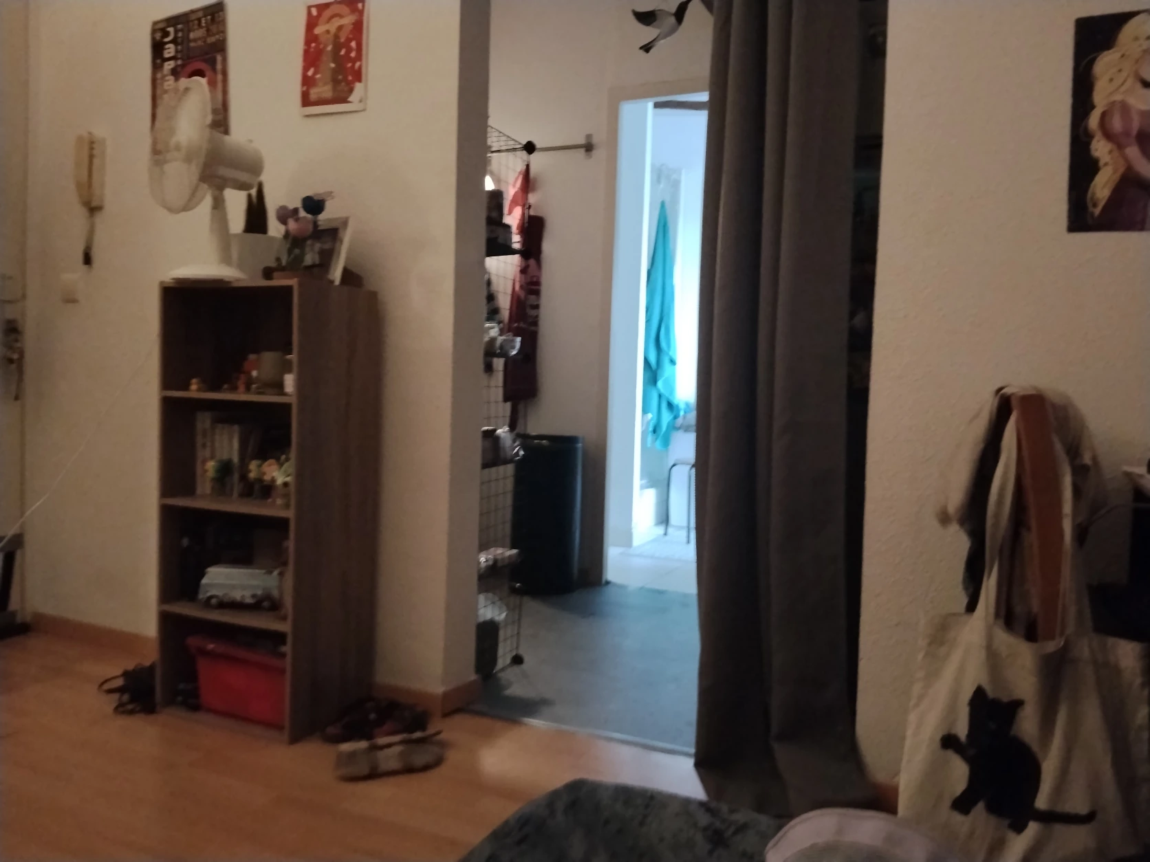 image-19