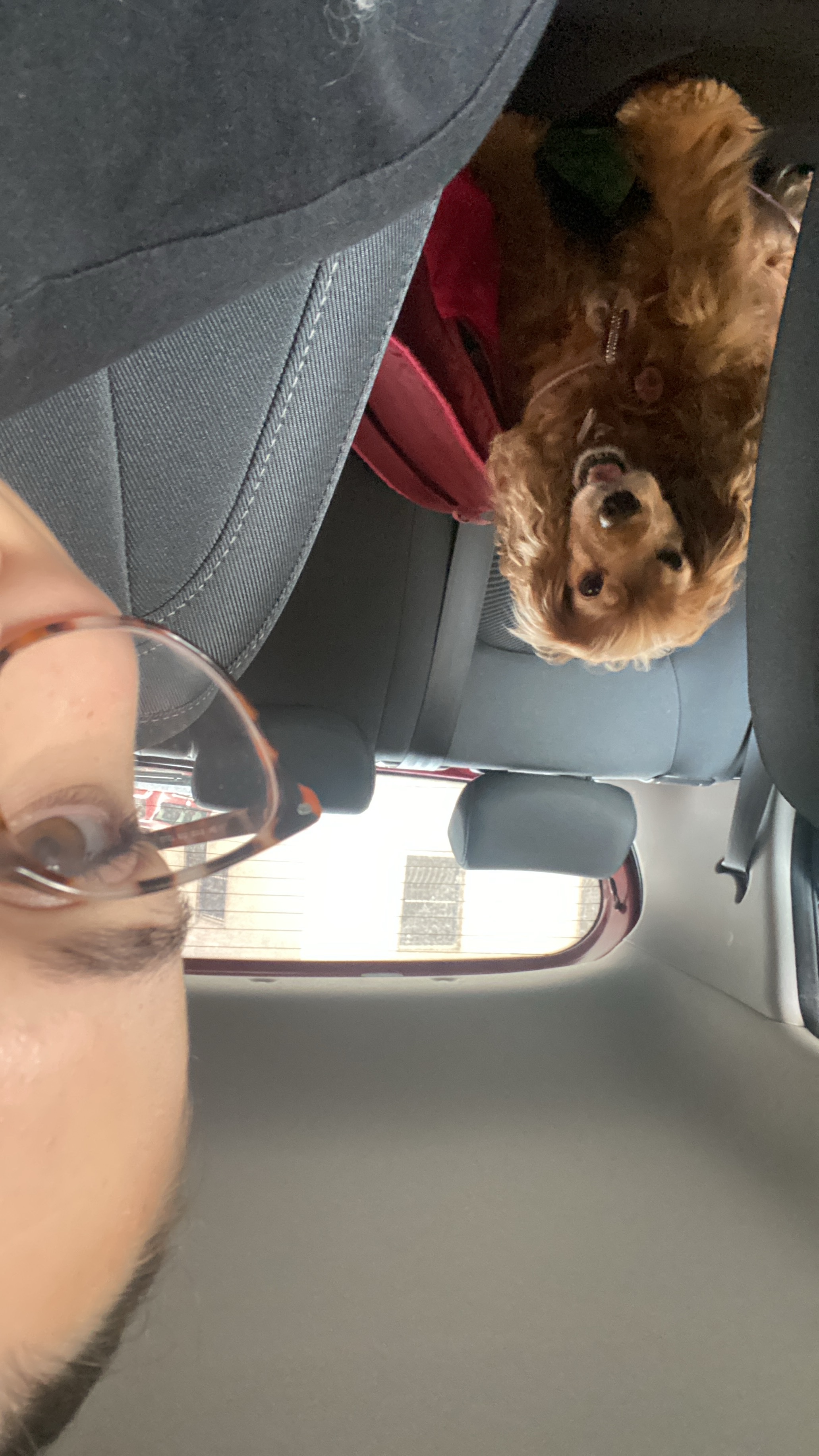image-4