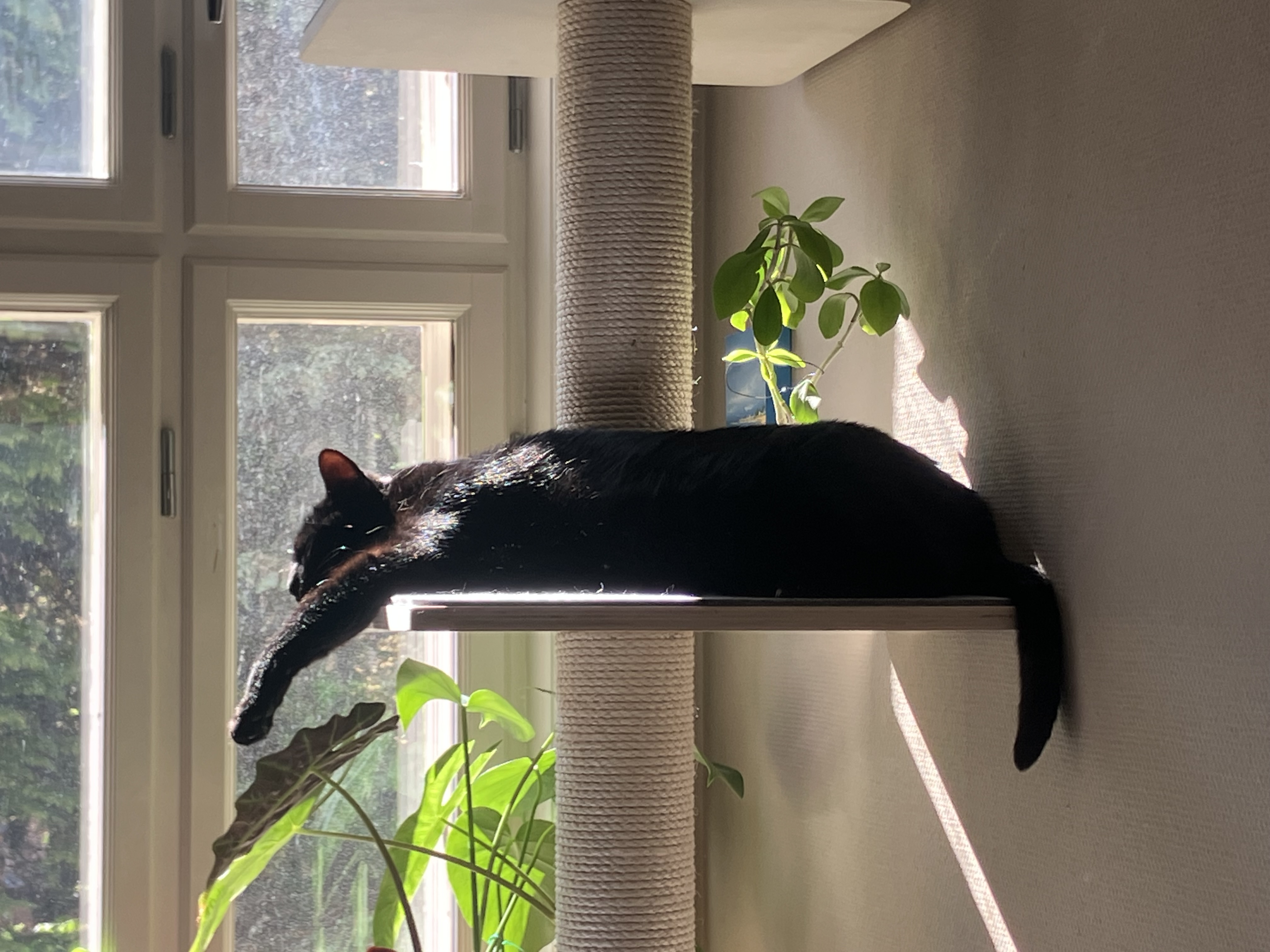 image-6