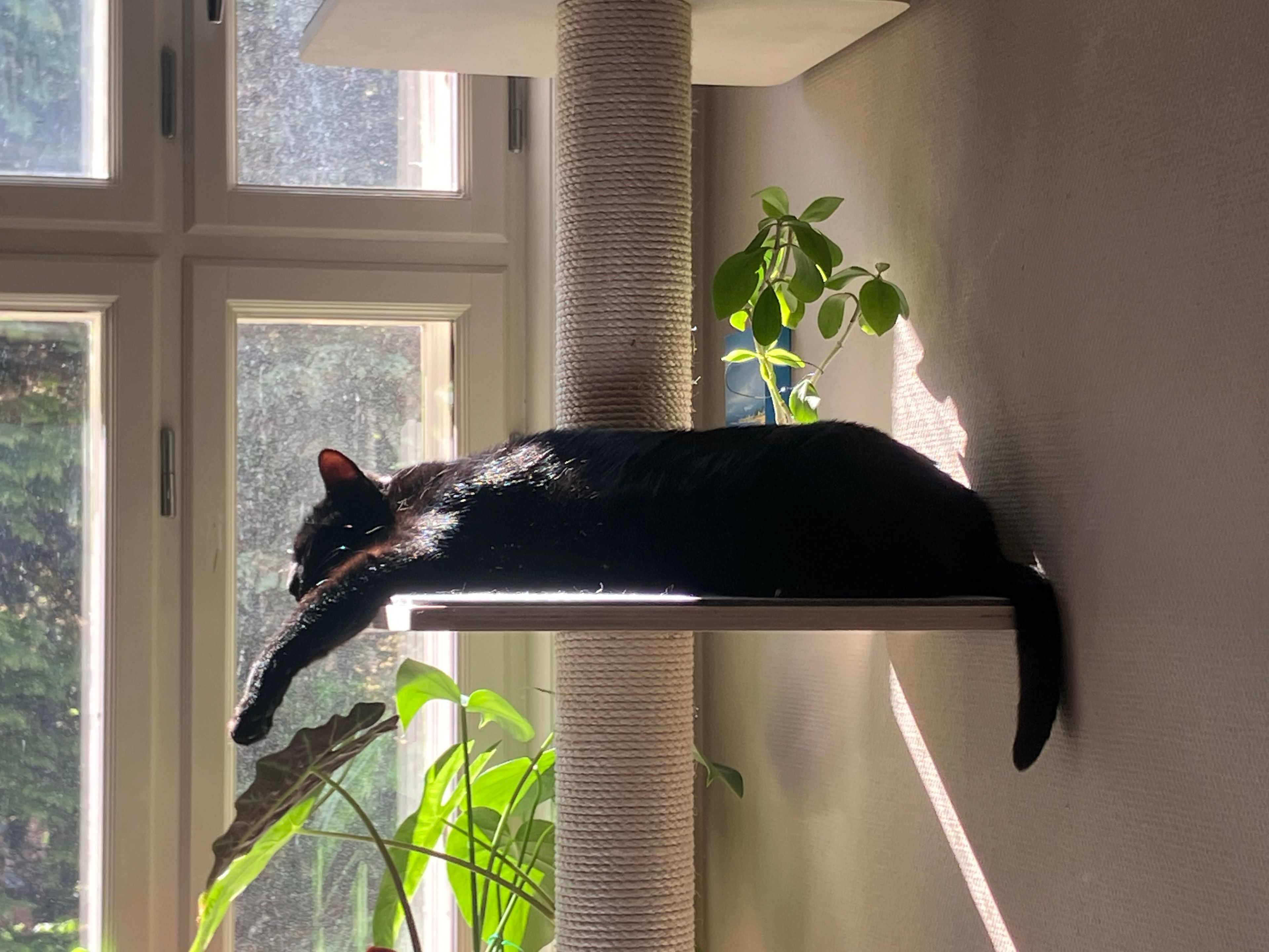 image-6
