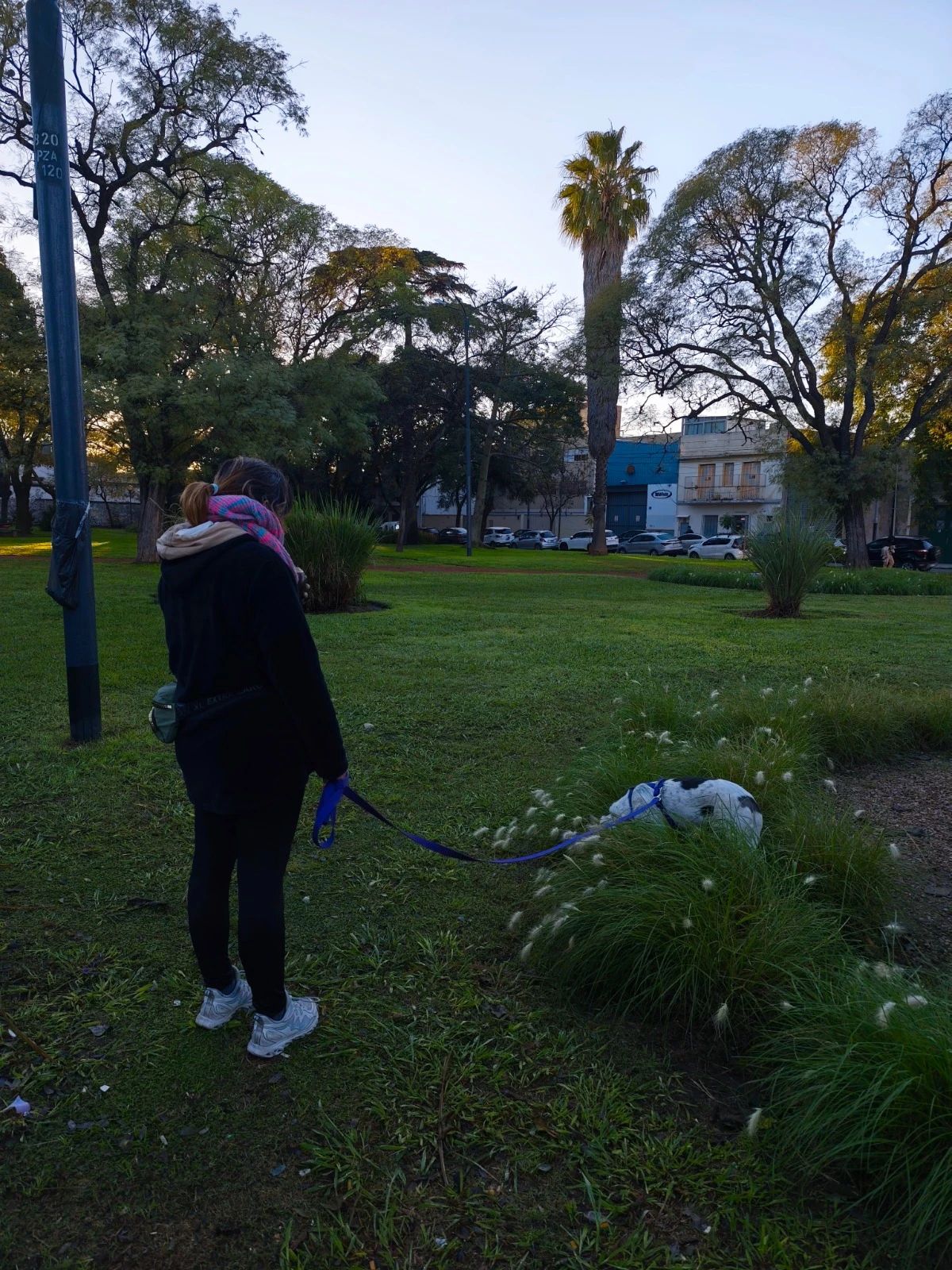 image-9
