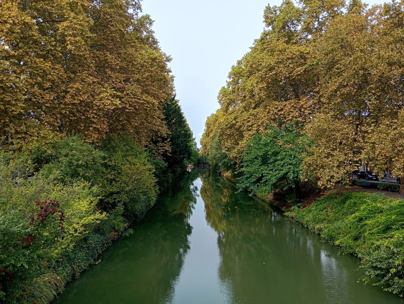 image-14