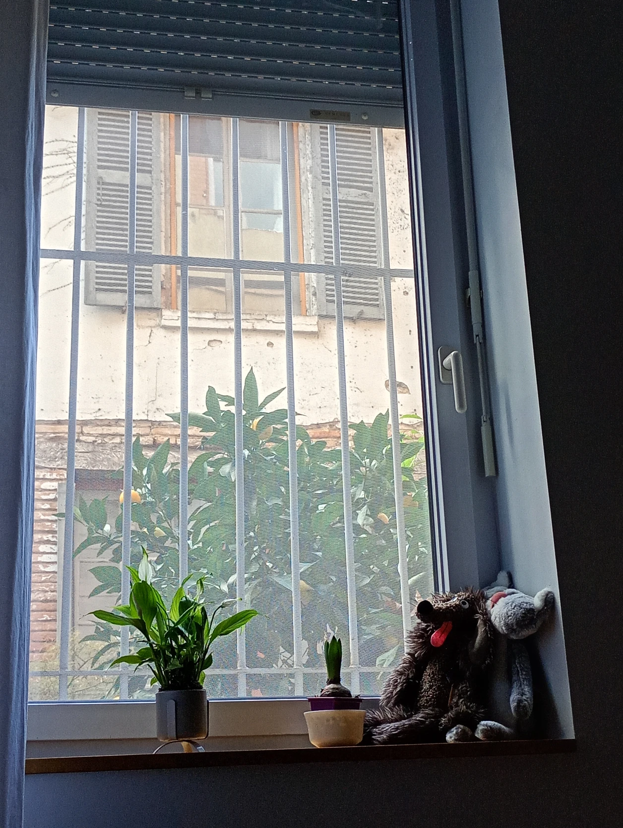 image-15