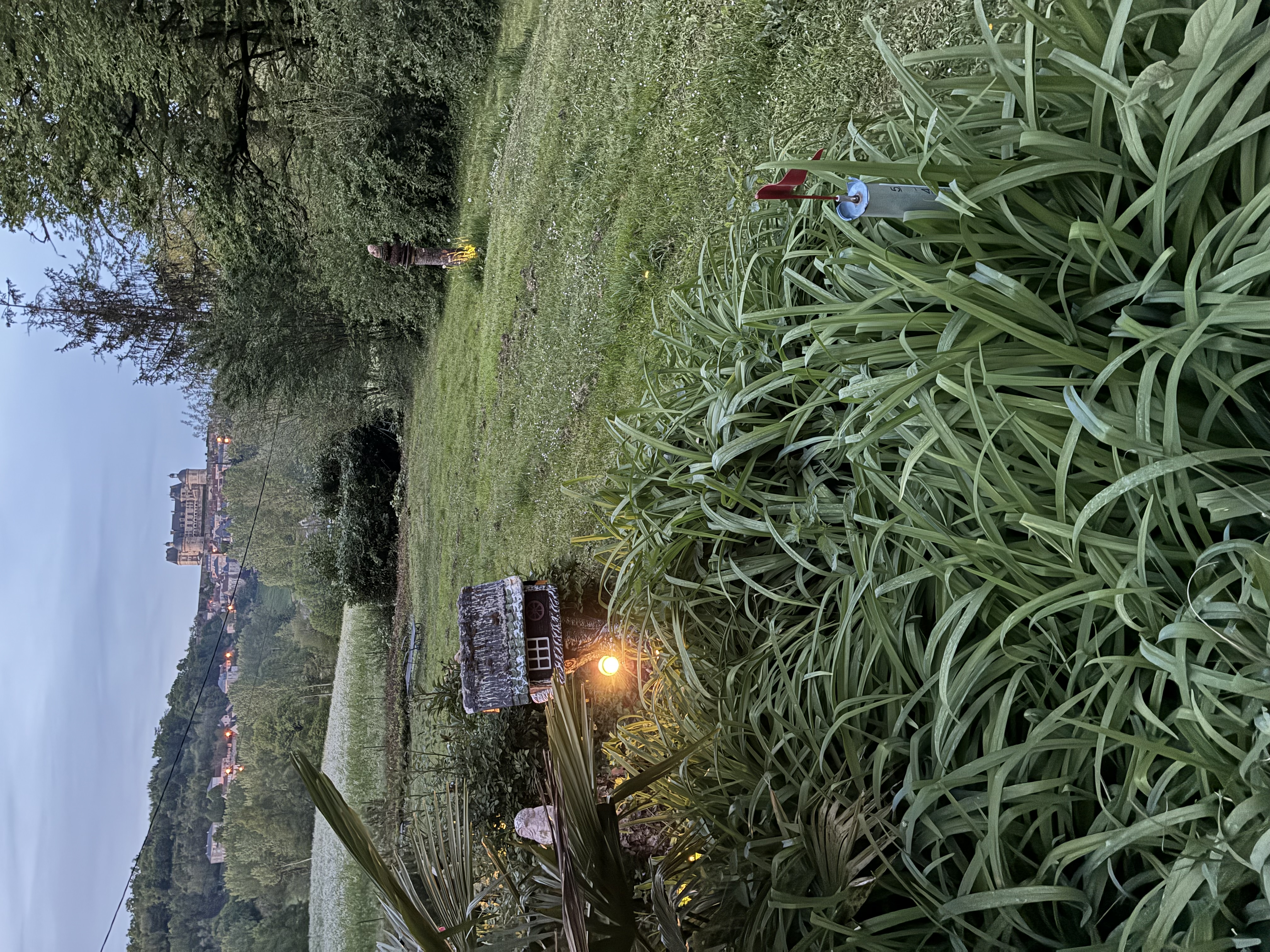 image-26