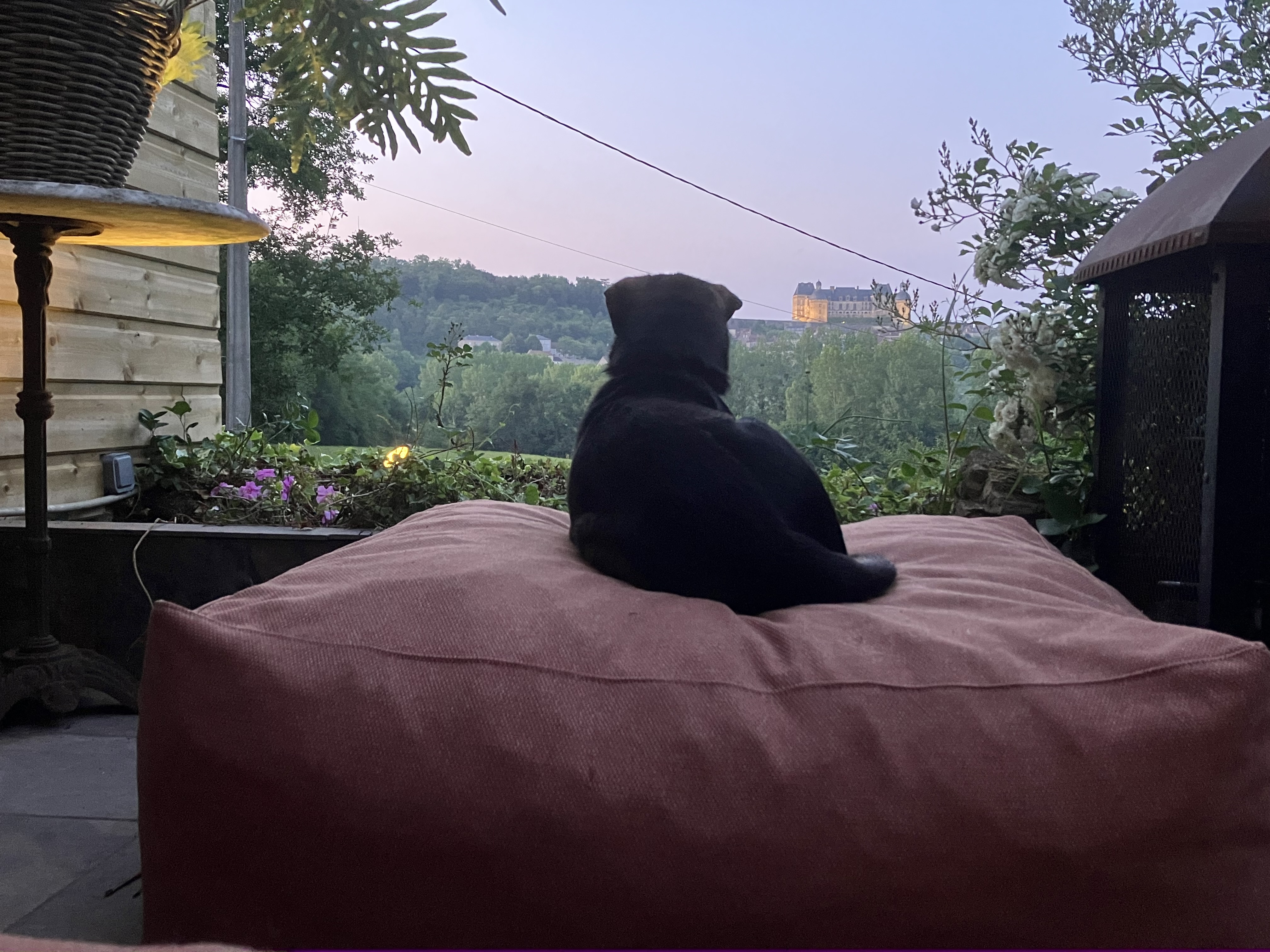 image-5