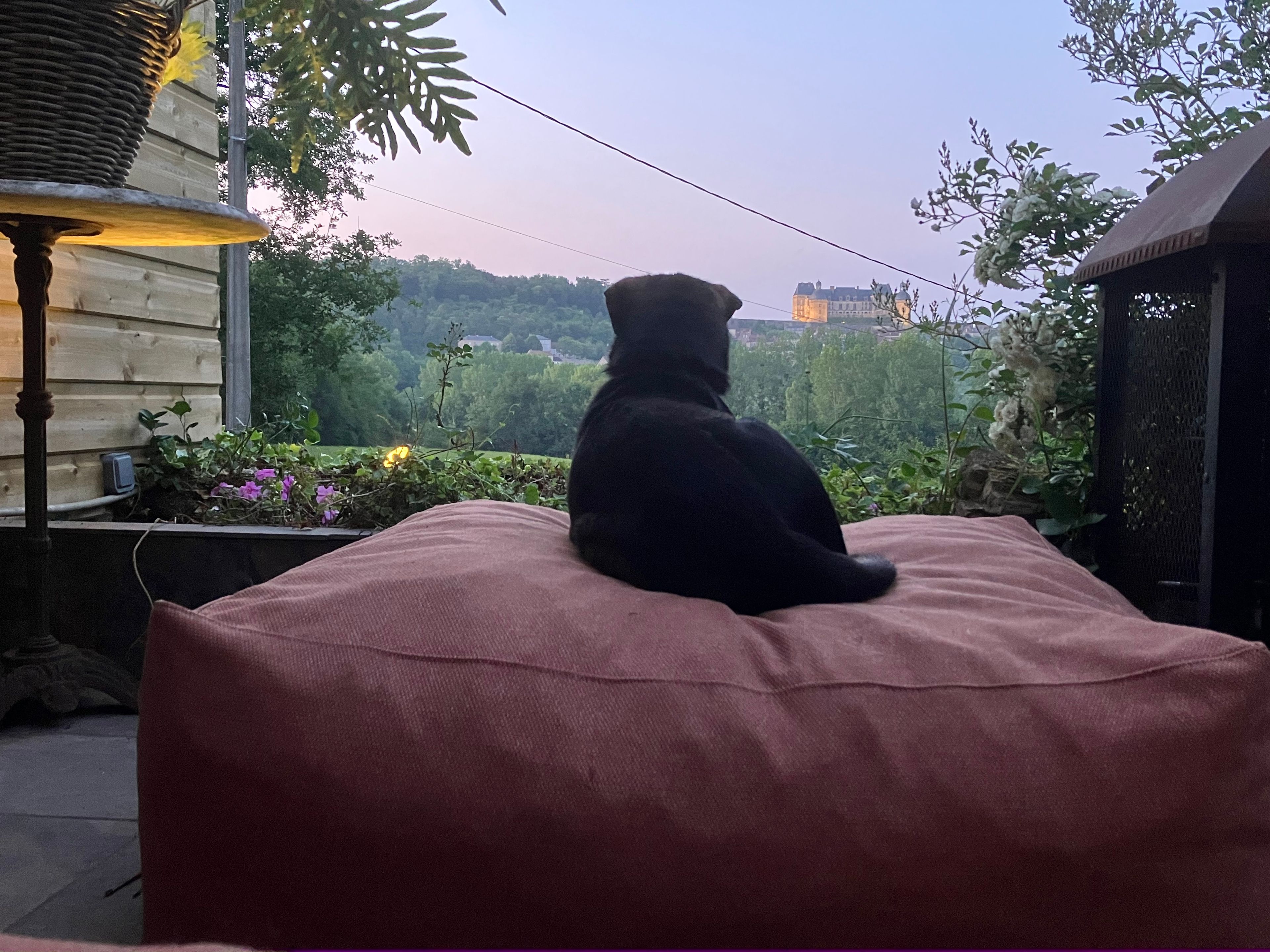 image-5