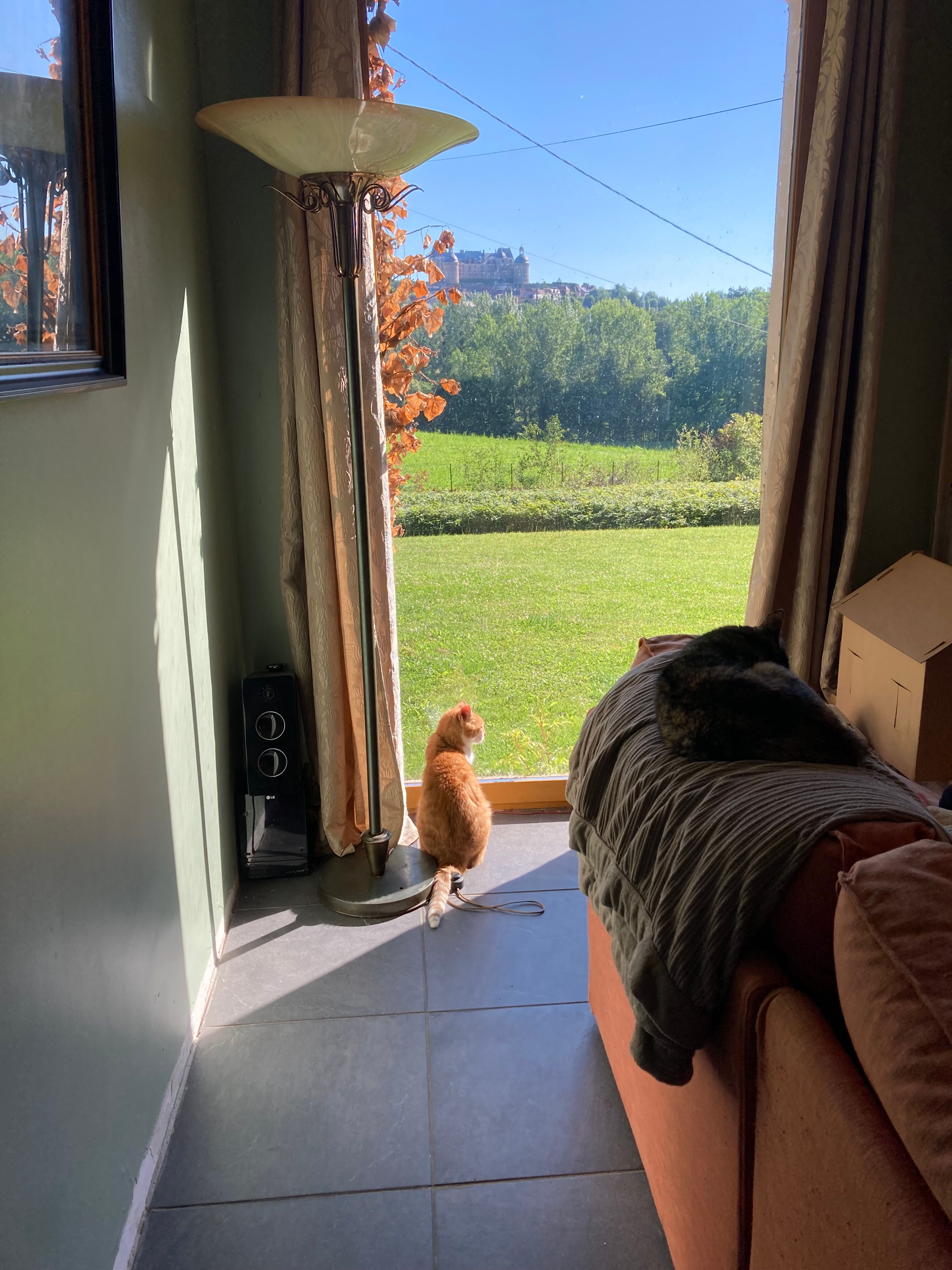 image-18