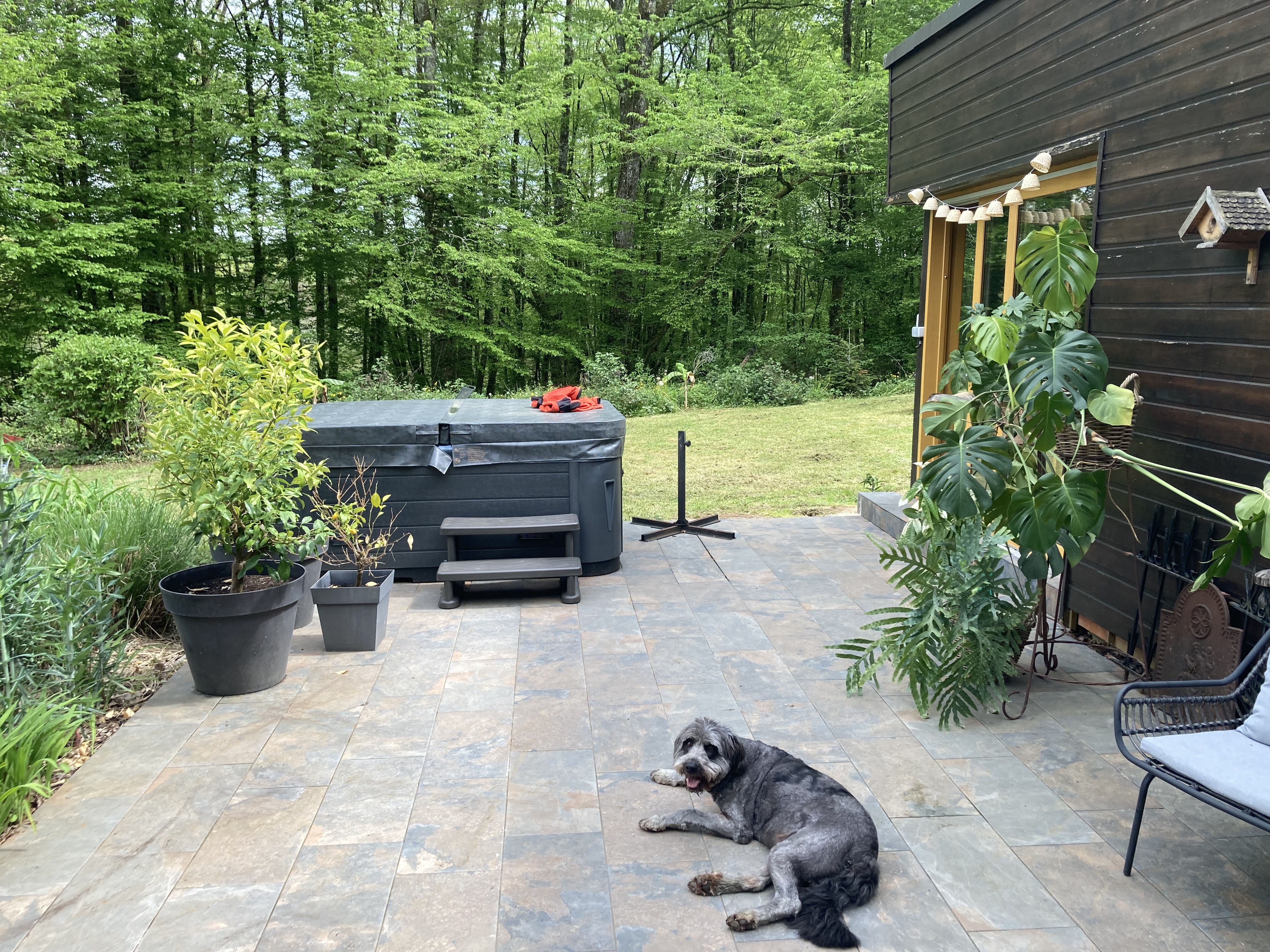 image-9