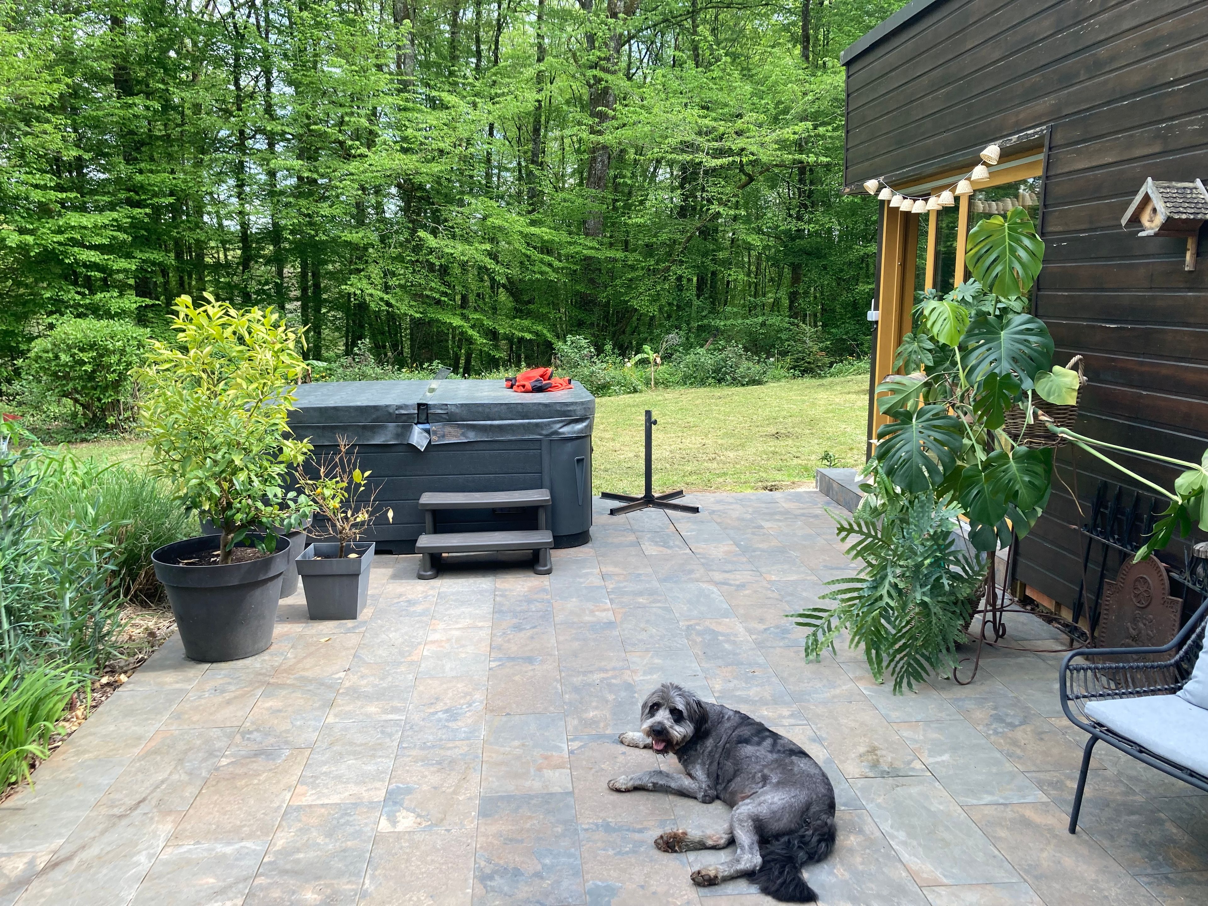 image-9