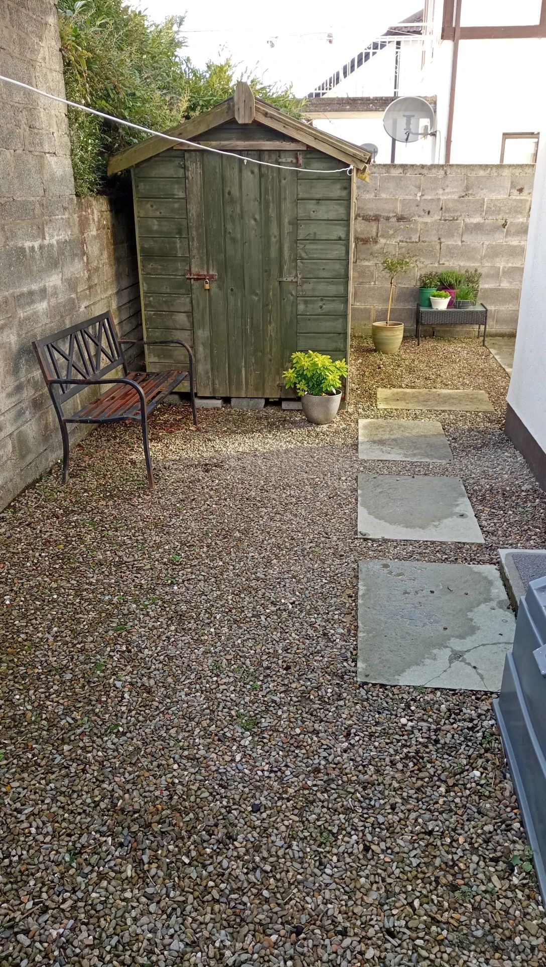 image-19