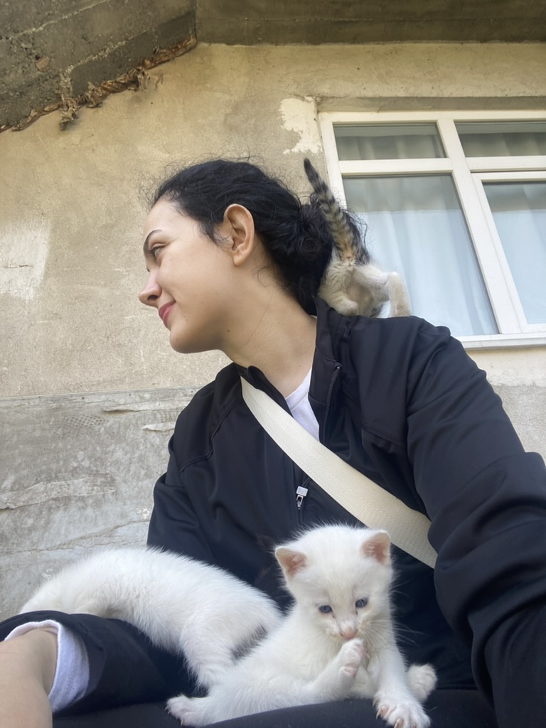 image-7