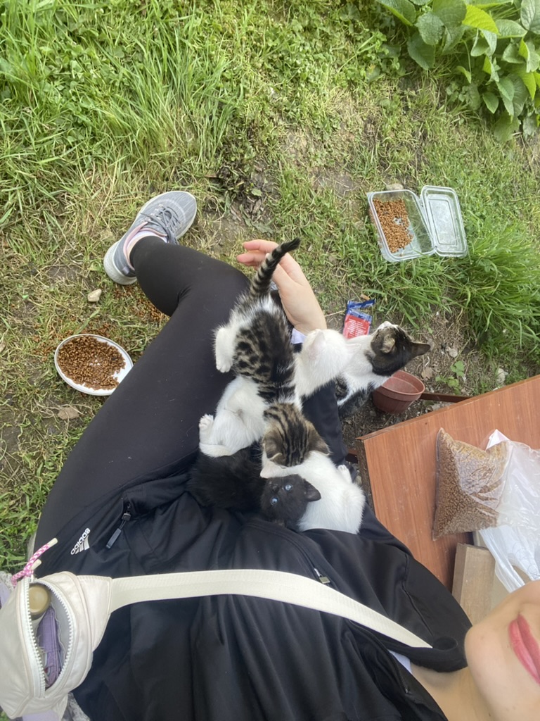image-6