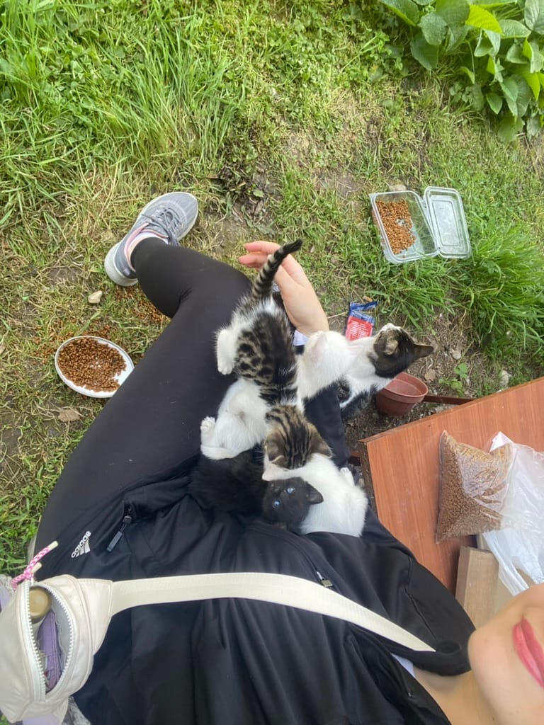 image-6