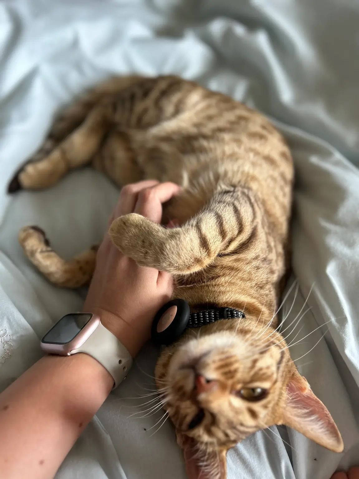 image-6