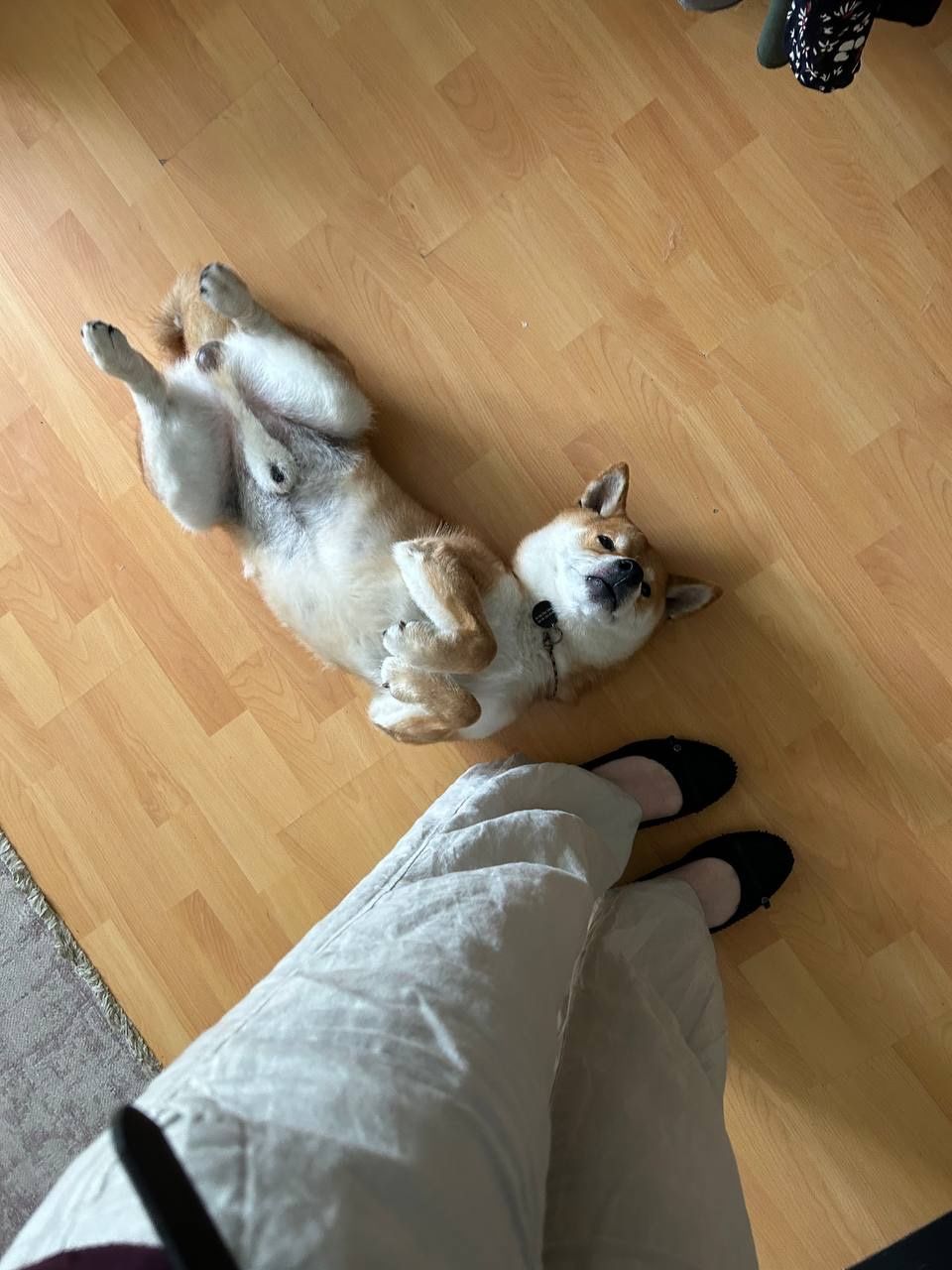 image-9