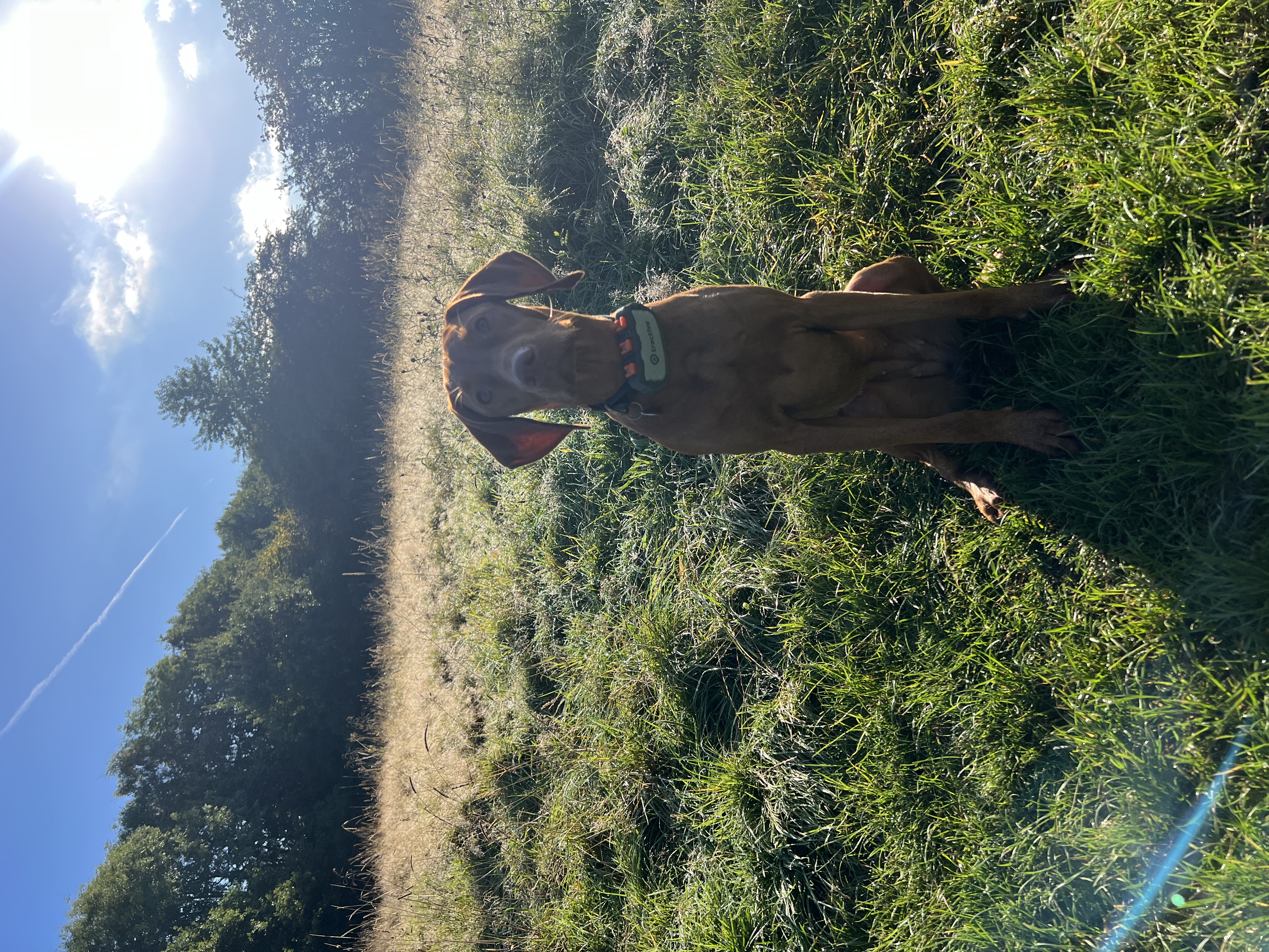 image-6