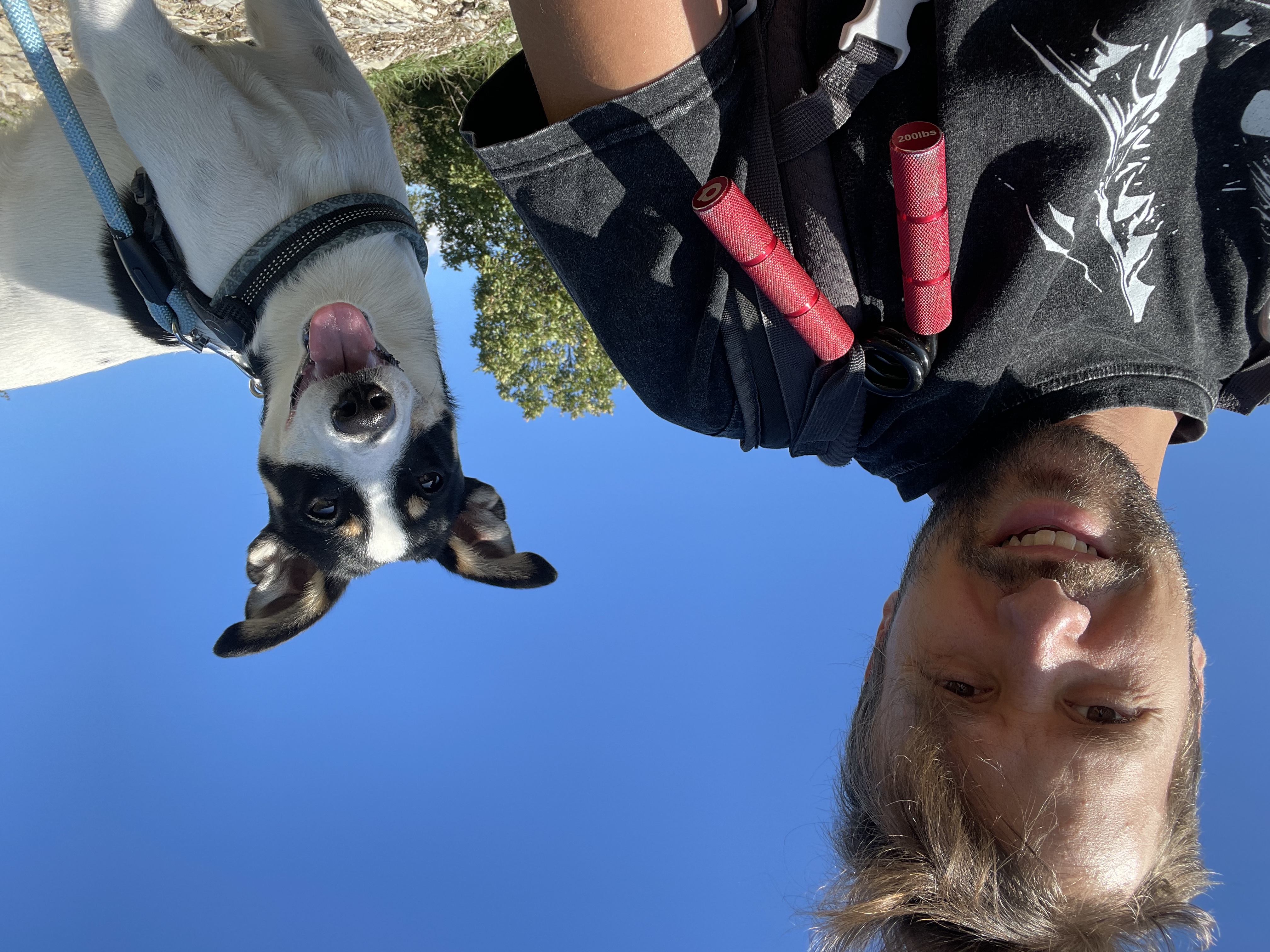 image-5