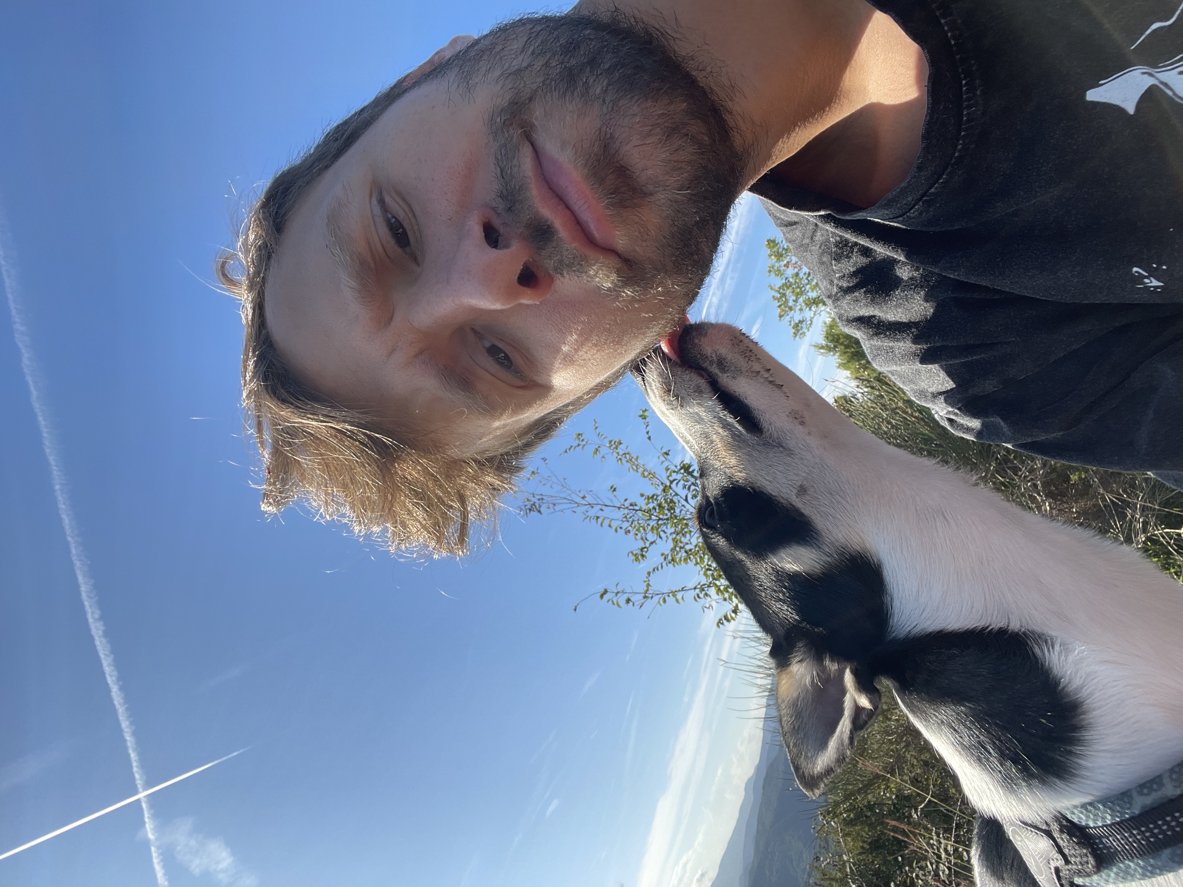 image-6