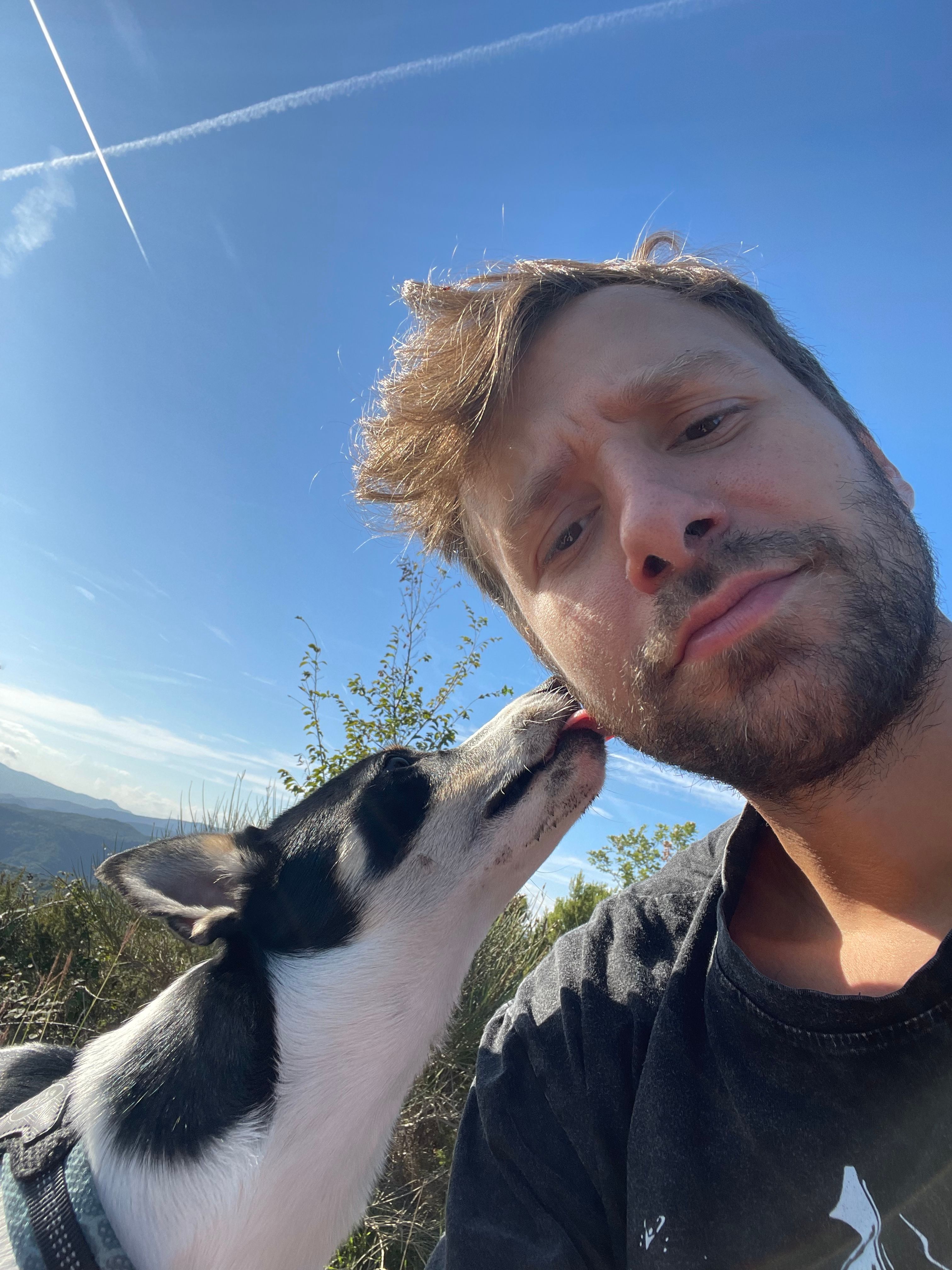 image-6