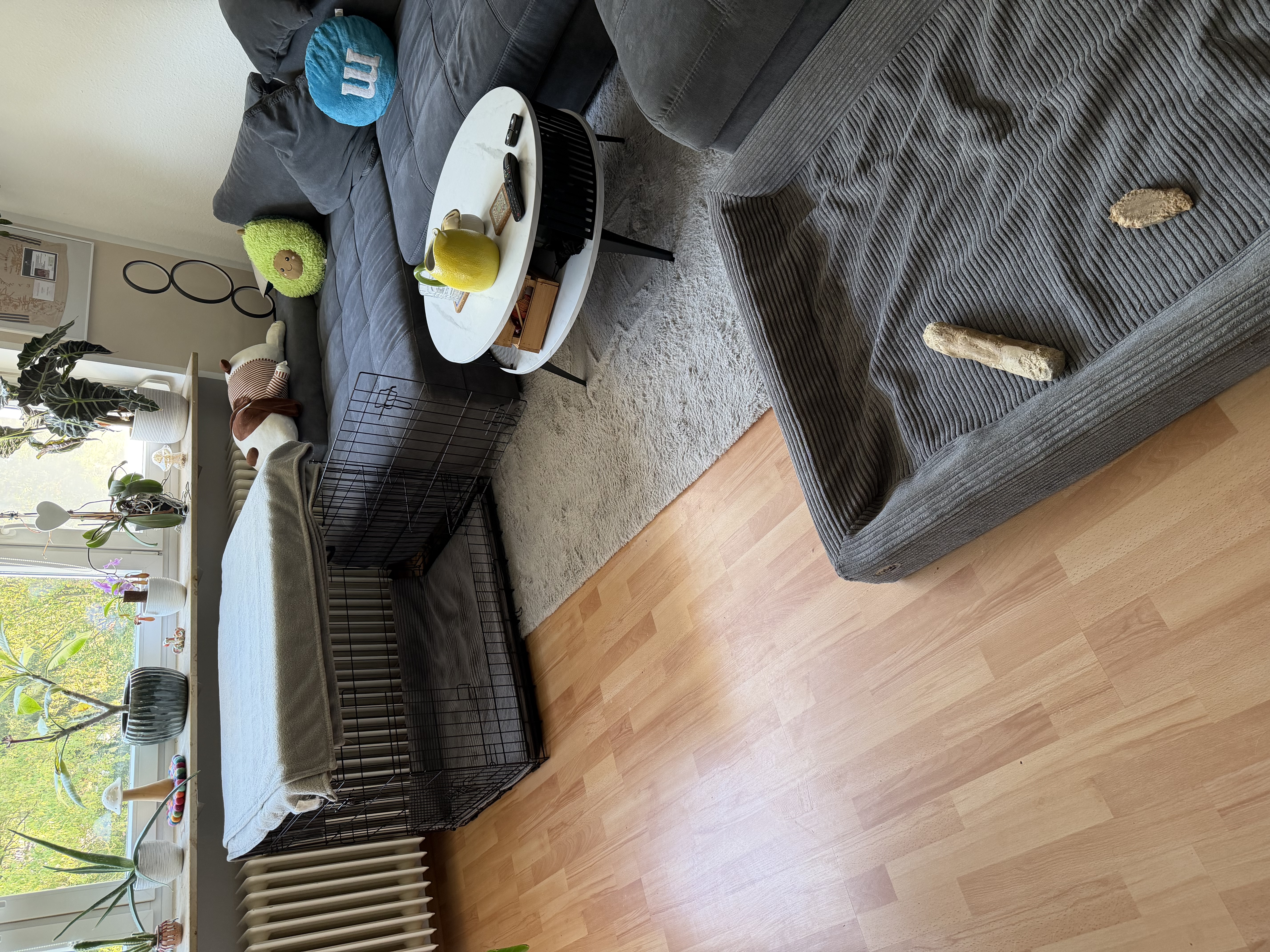 image-7