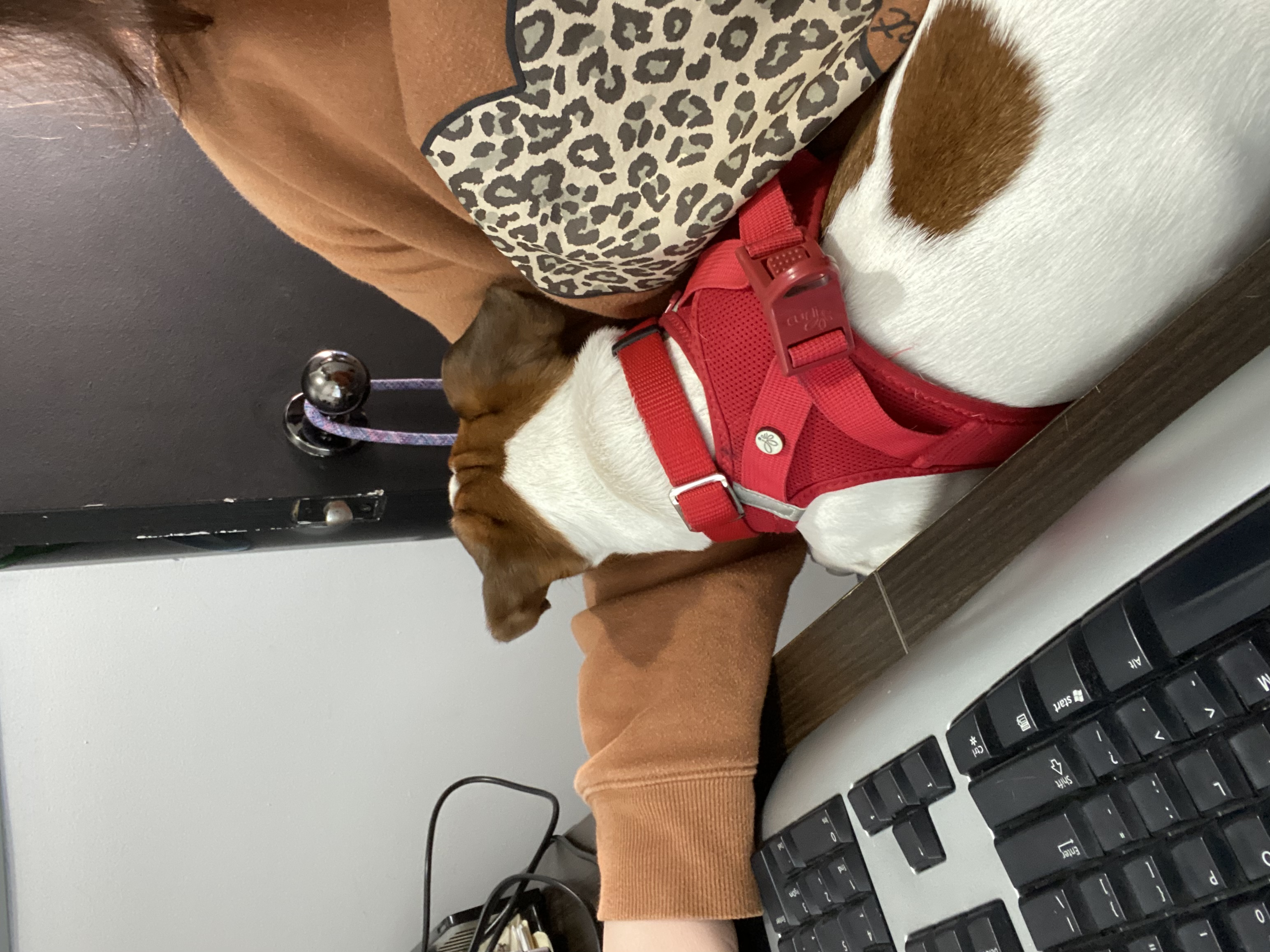 image-12