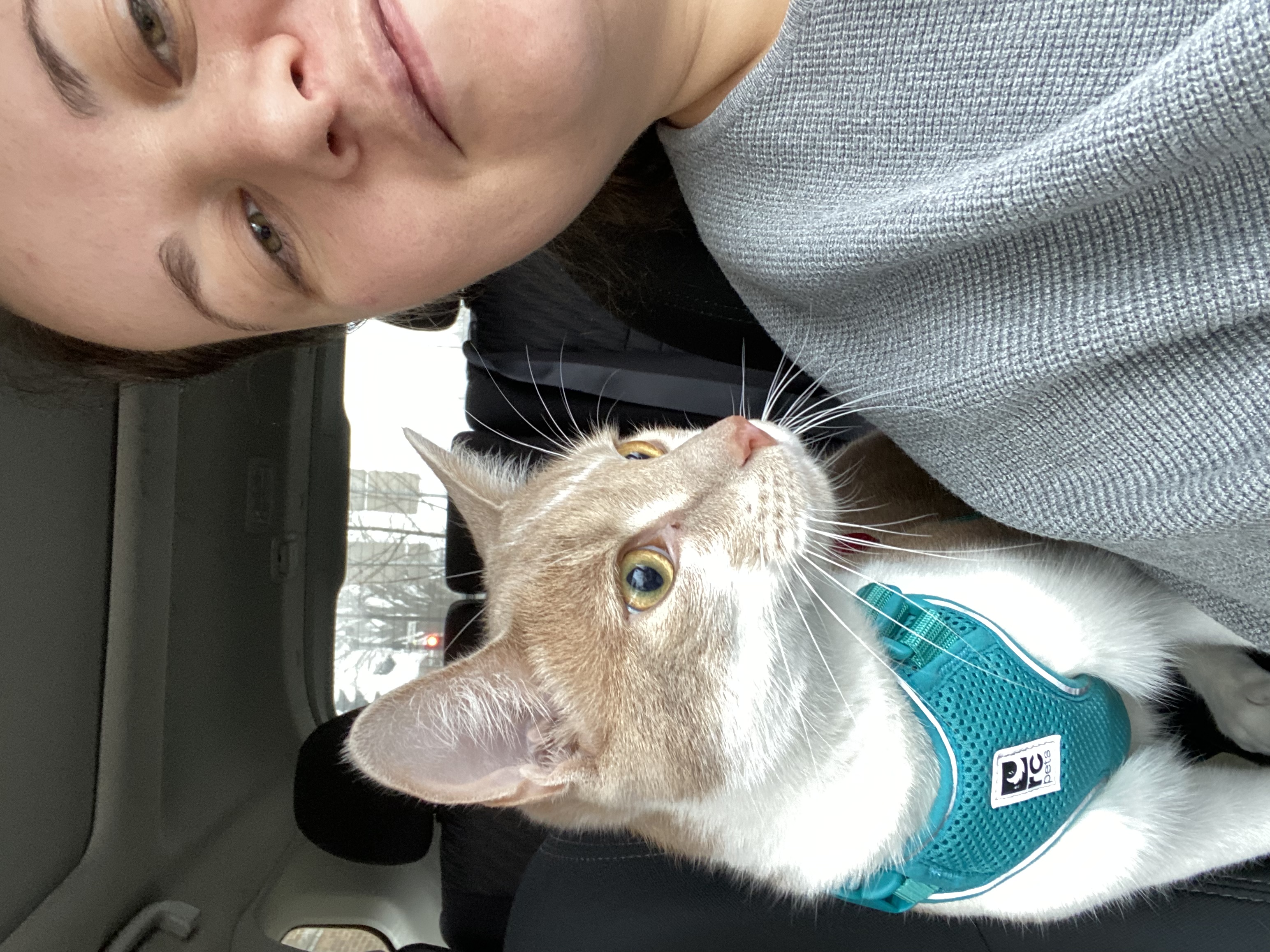 image-14