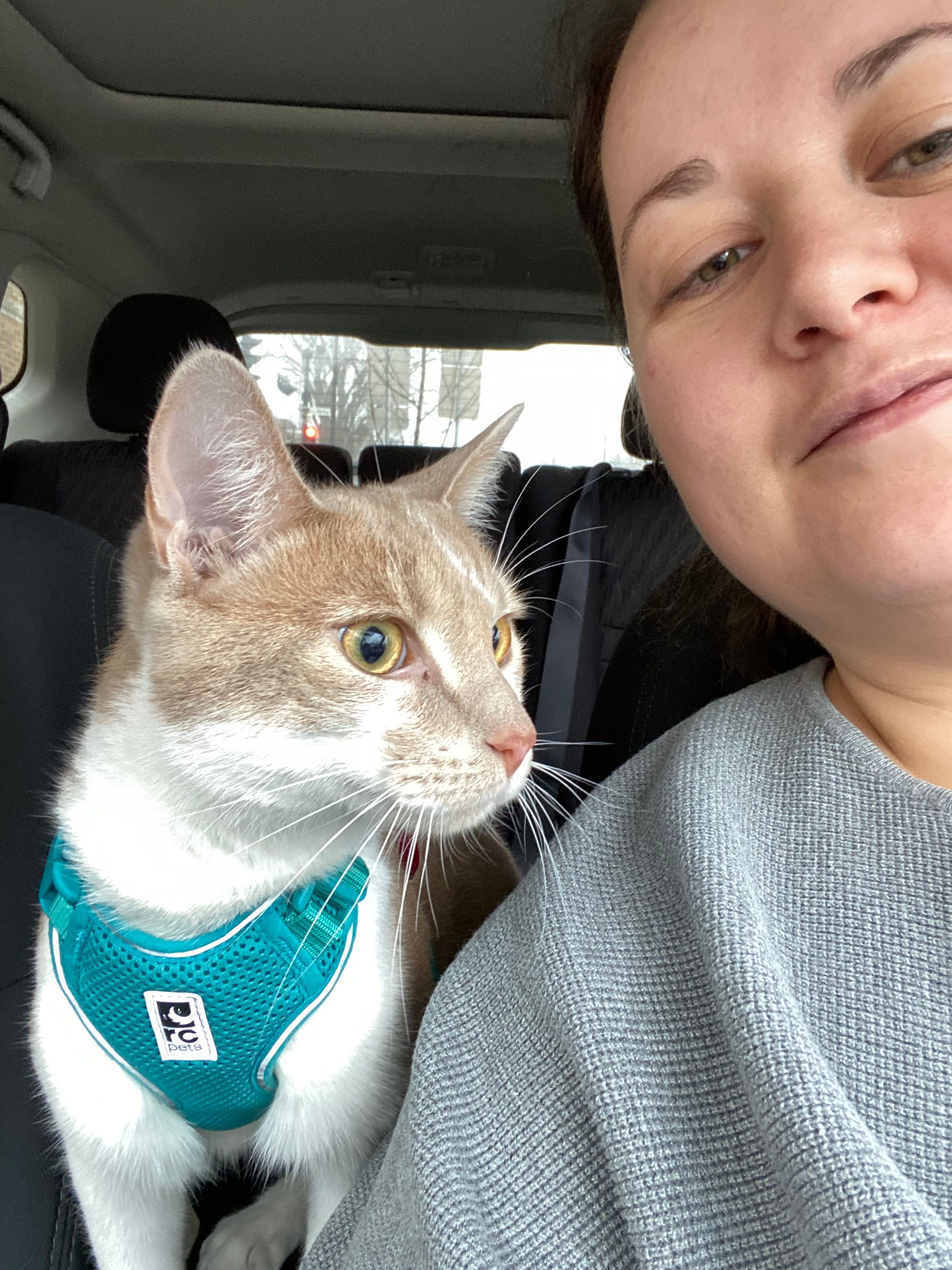 image-14