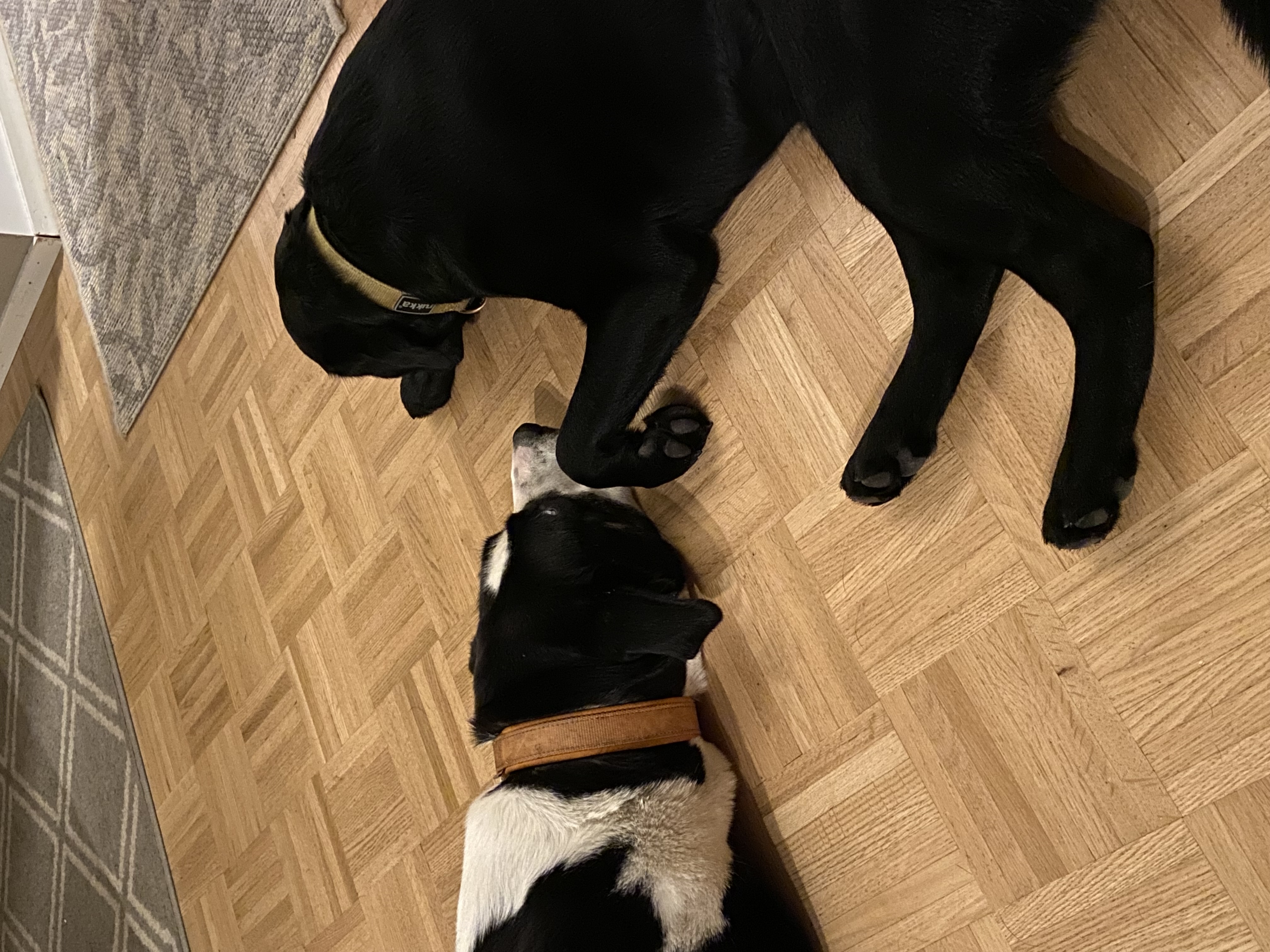 image-6