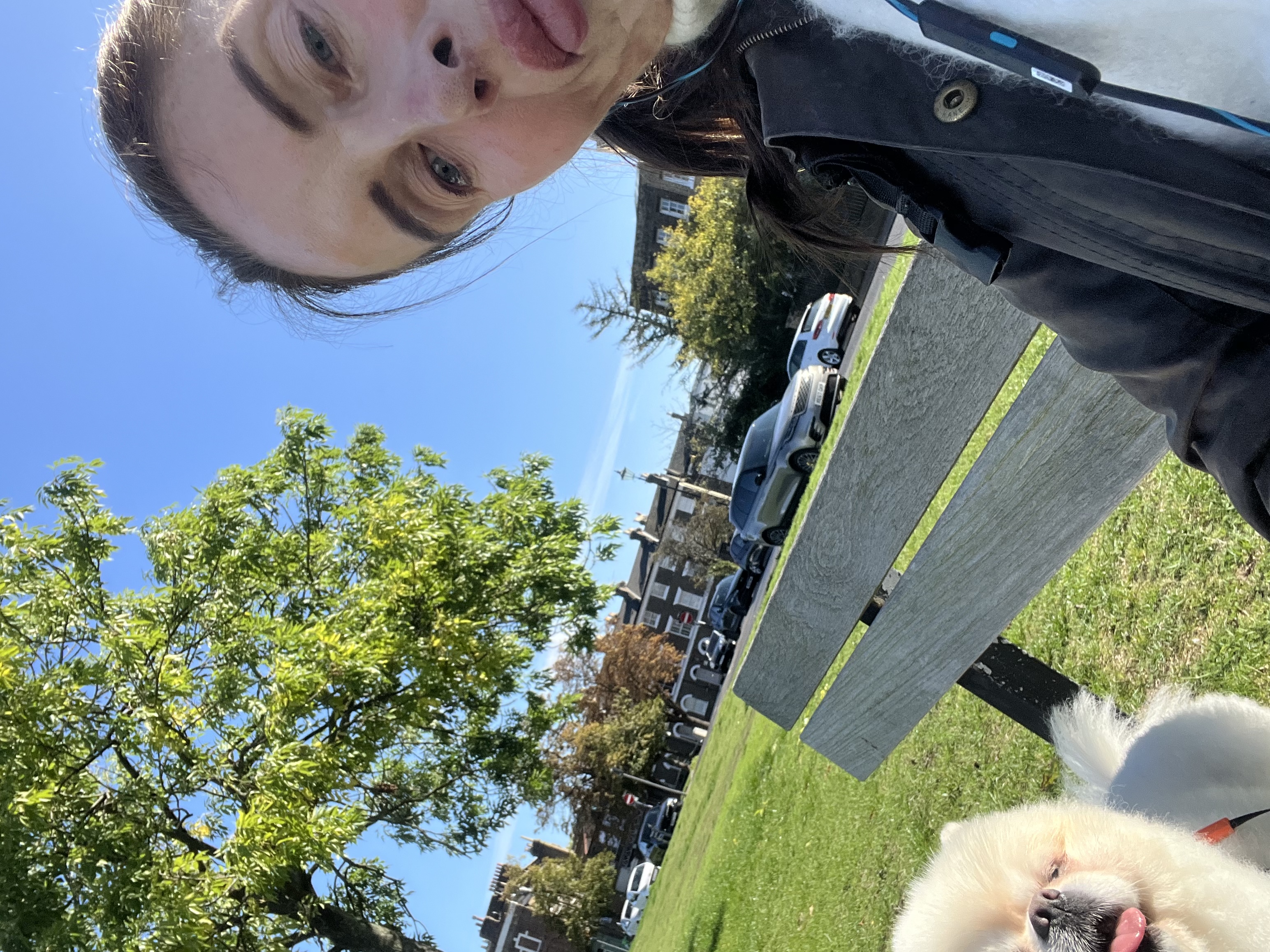 image-12