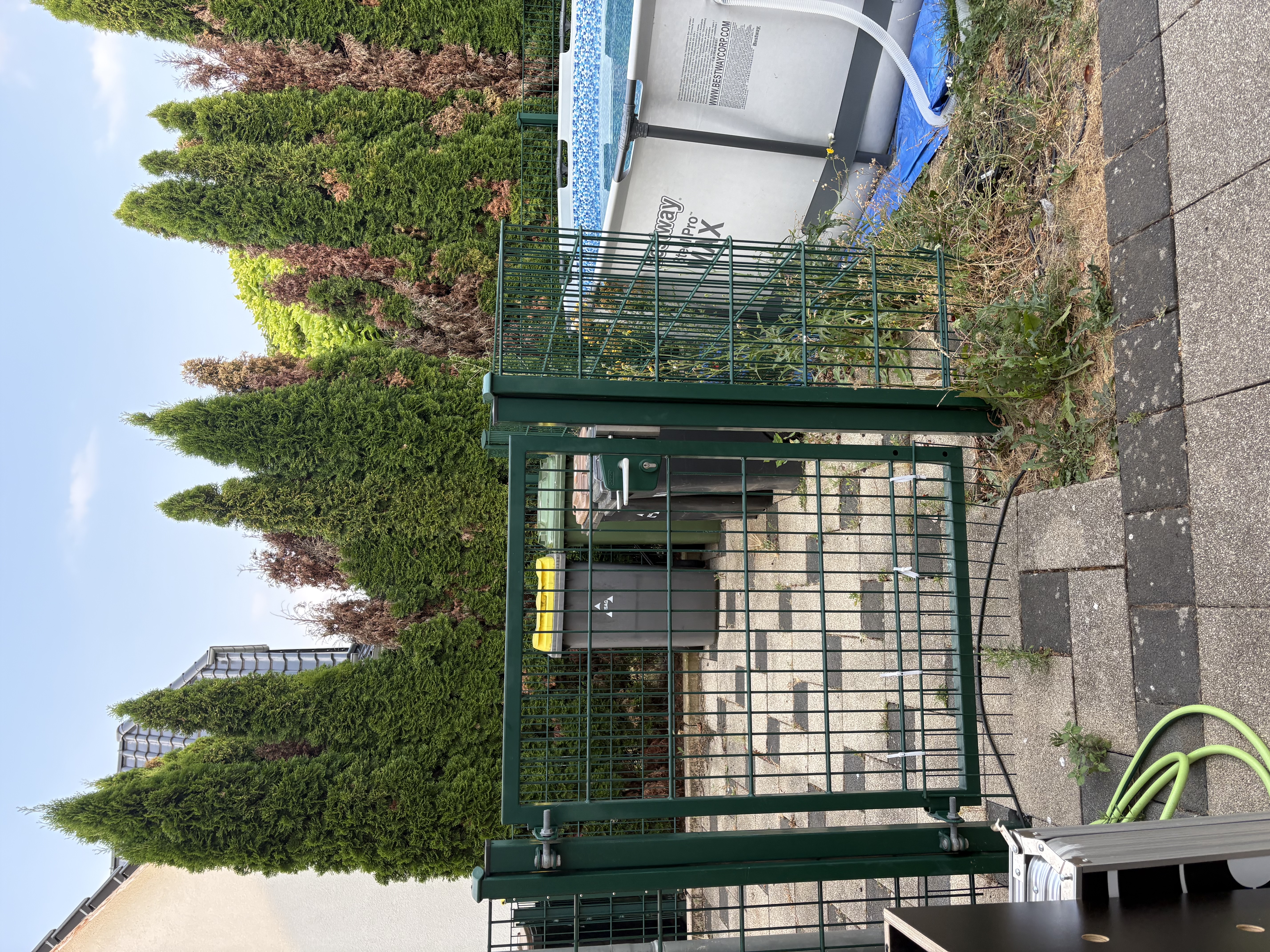 image-11