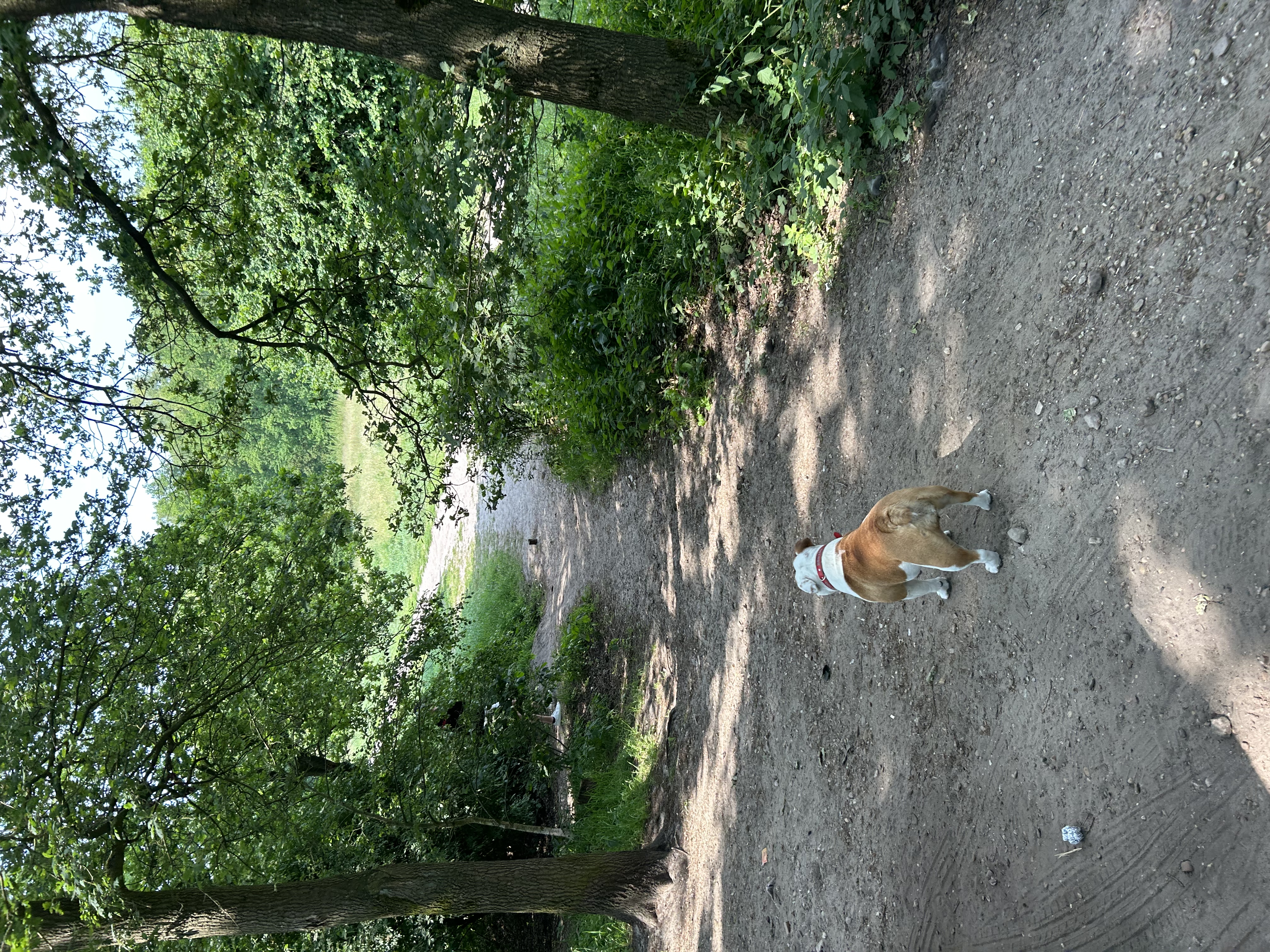 image-8
