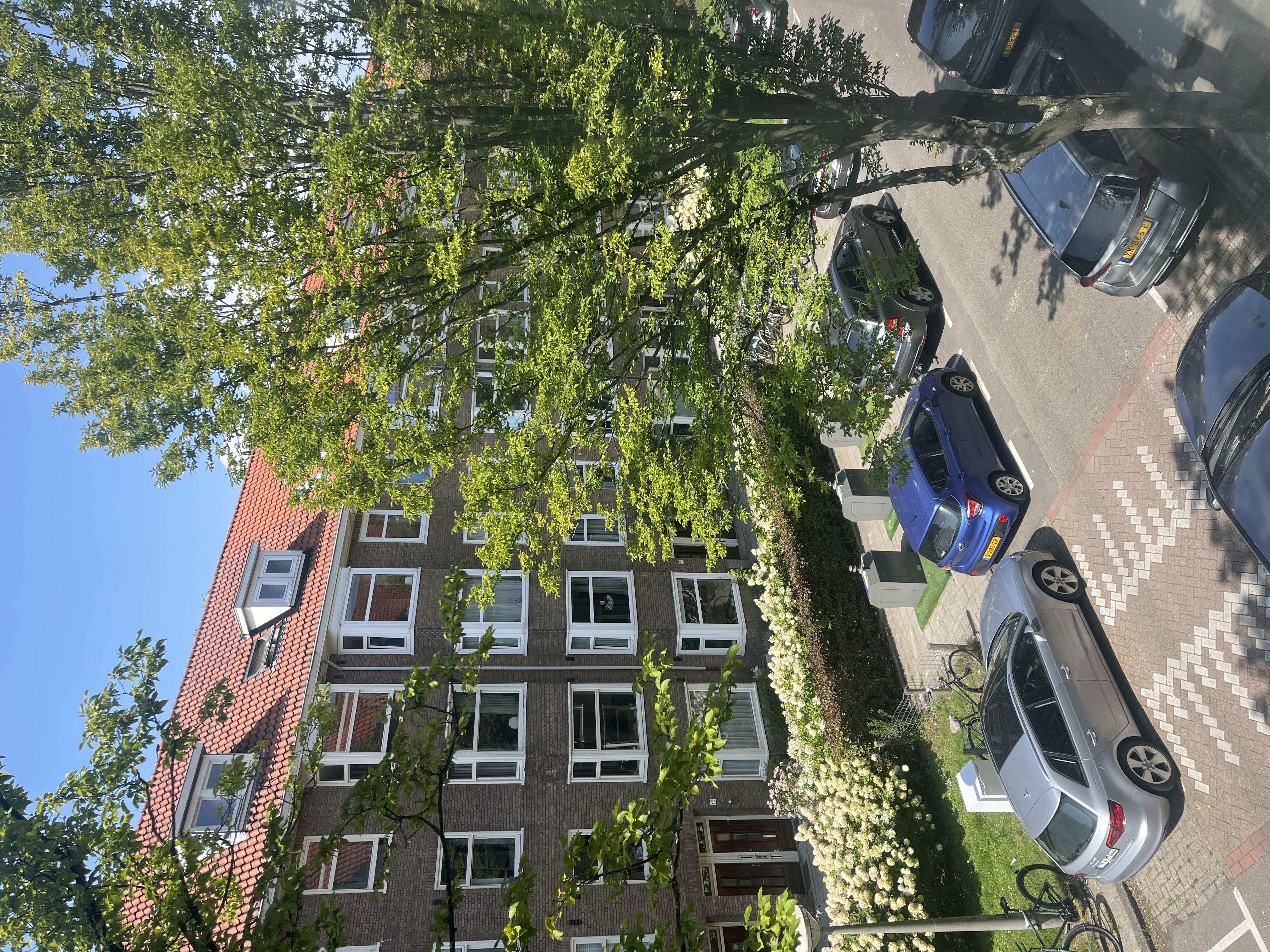 image-16