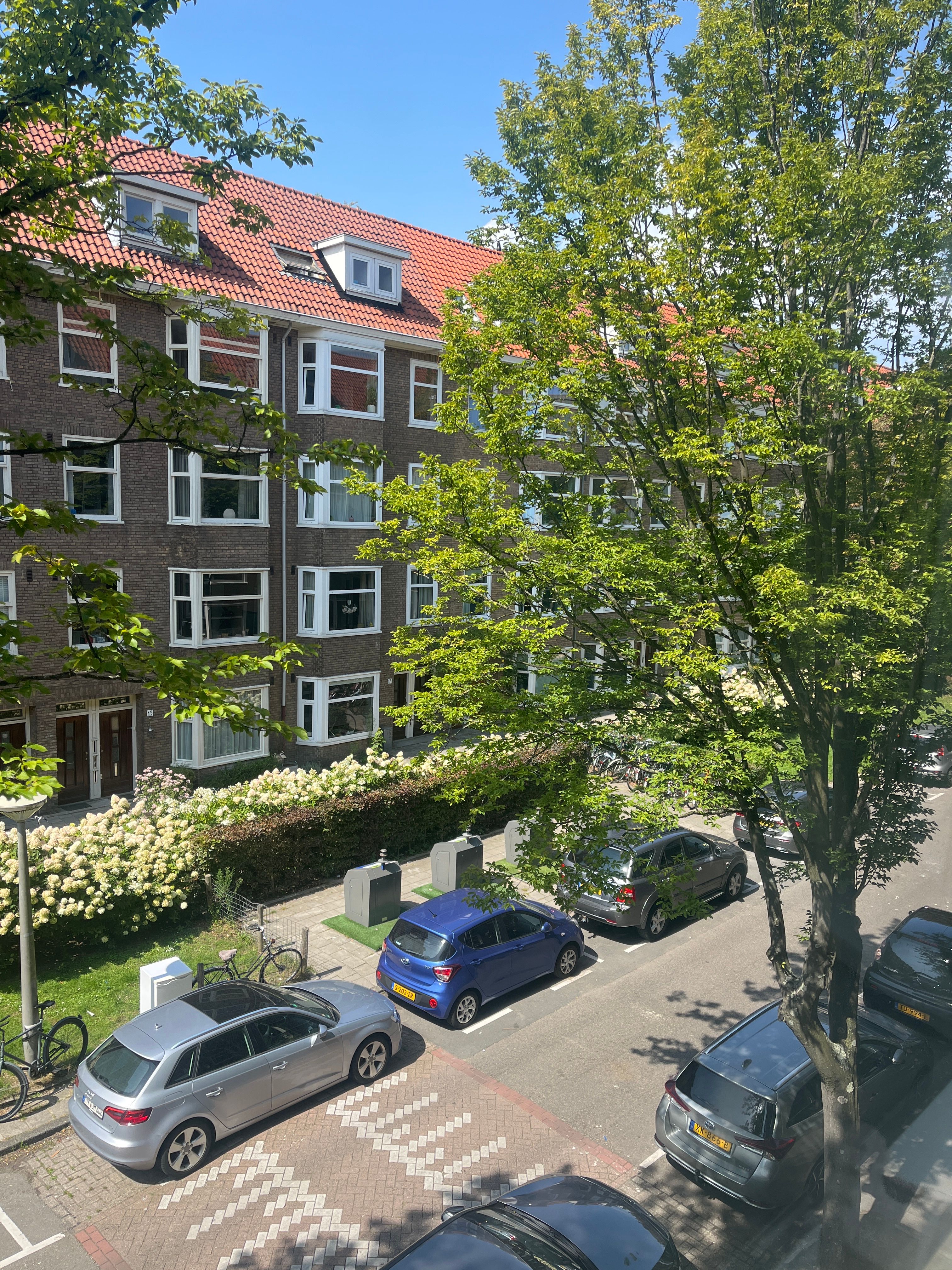 image-16