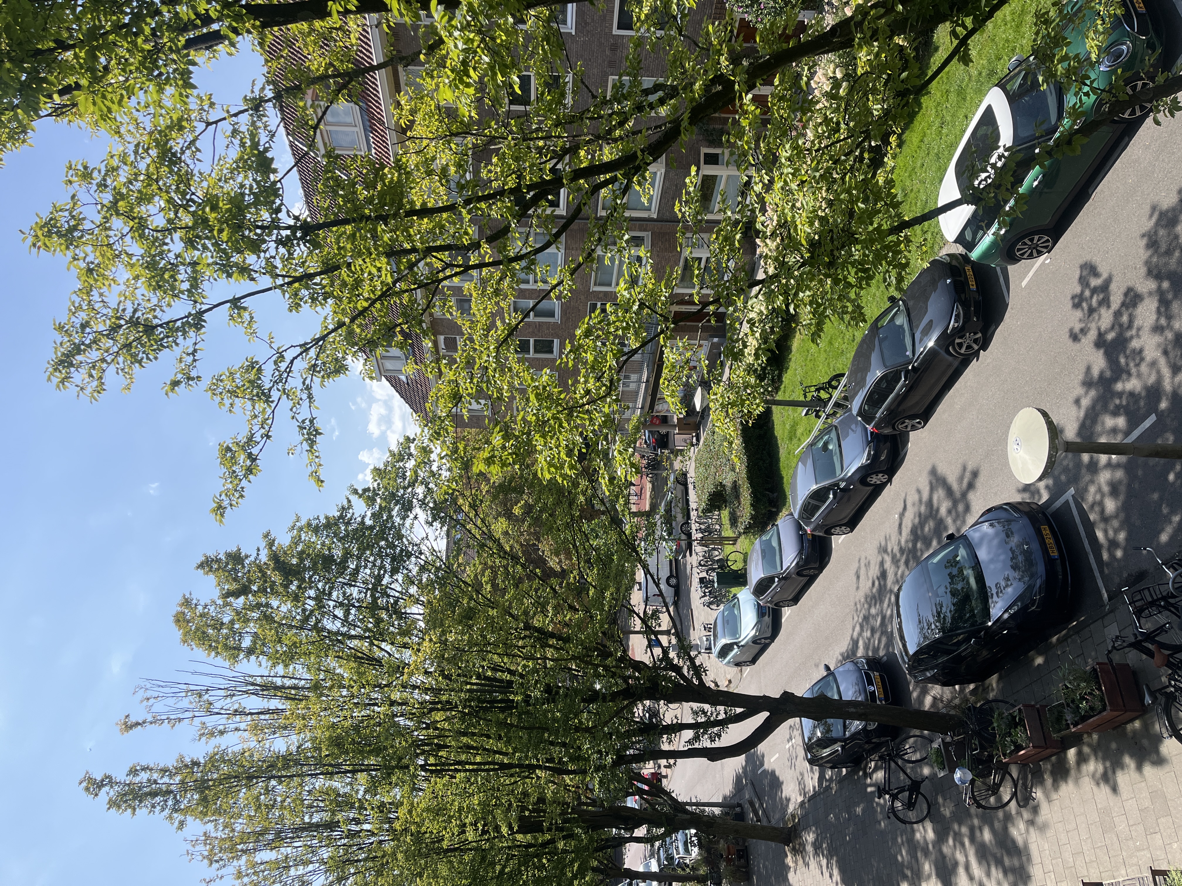 image-17