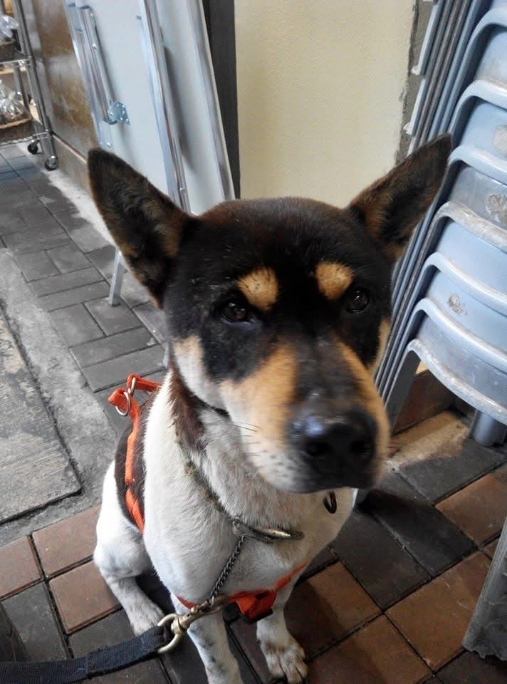 image-42